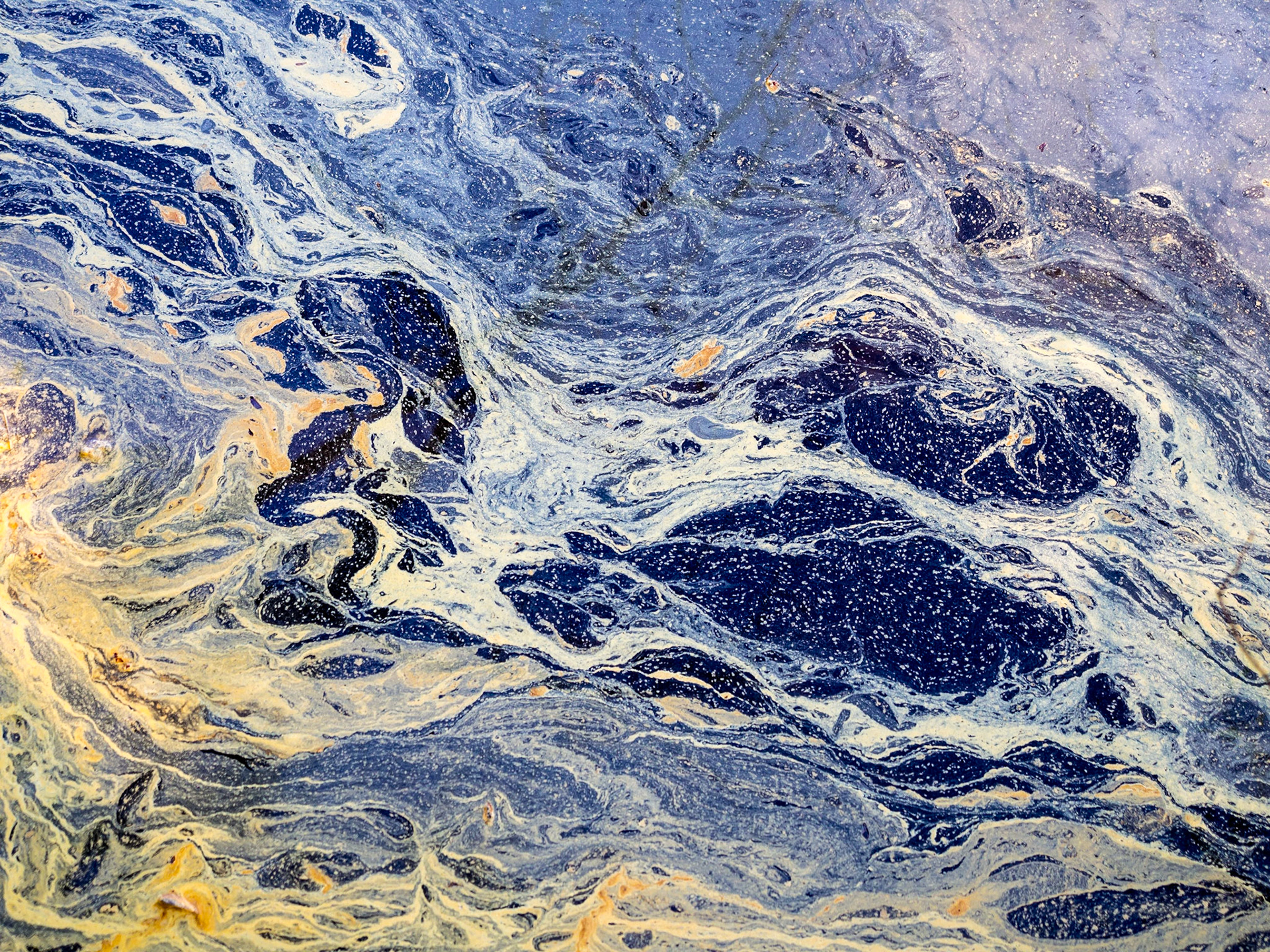 Raleigh, North Carolina