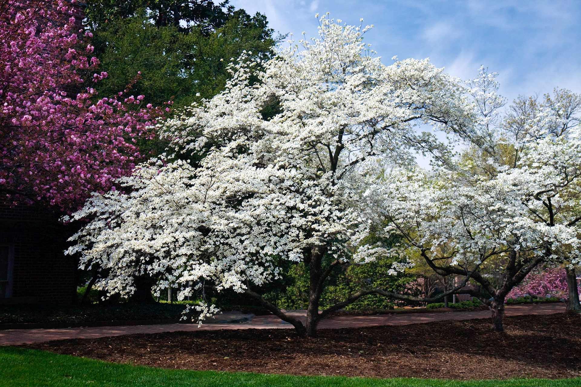 Raleigh, North Carolina