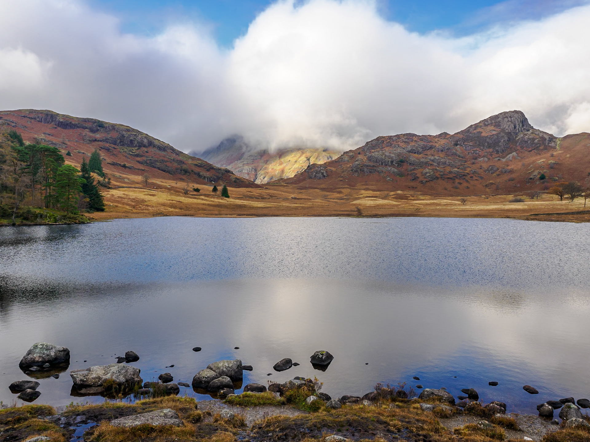 Blea Tarn-Lingmoor Fell-Side Pike hike