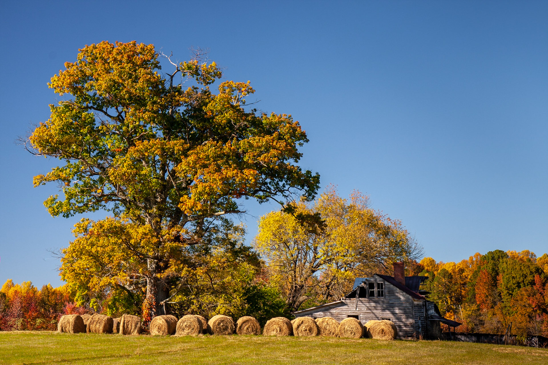 Chase City, Virginia