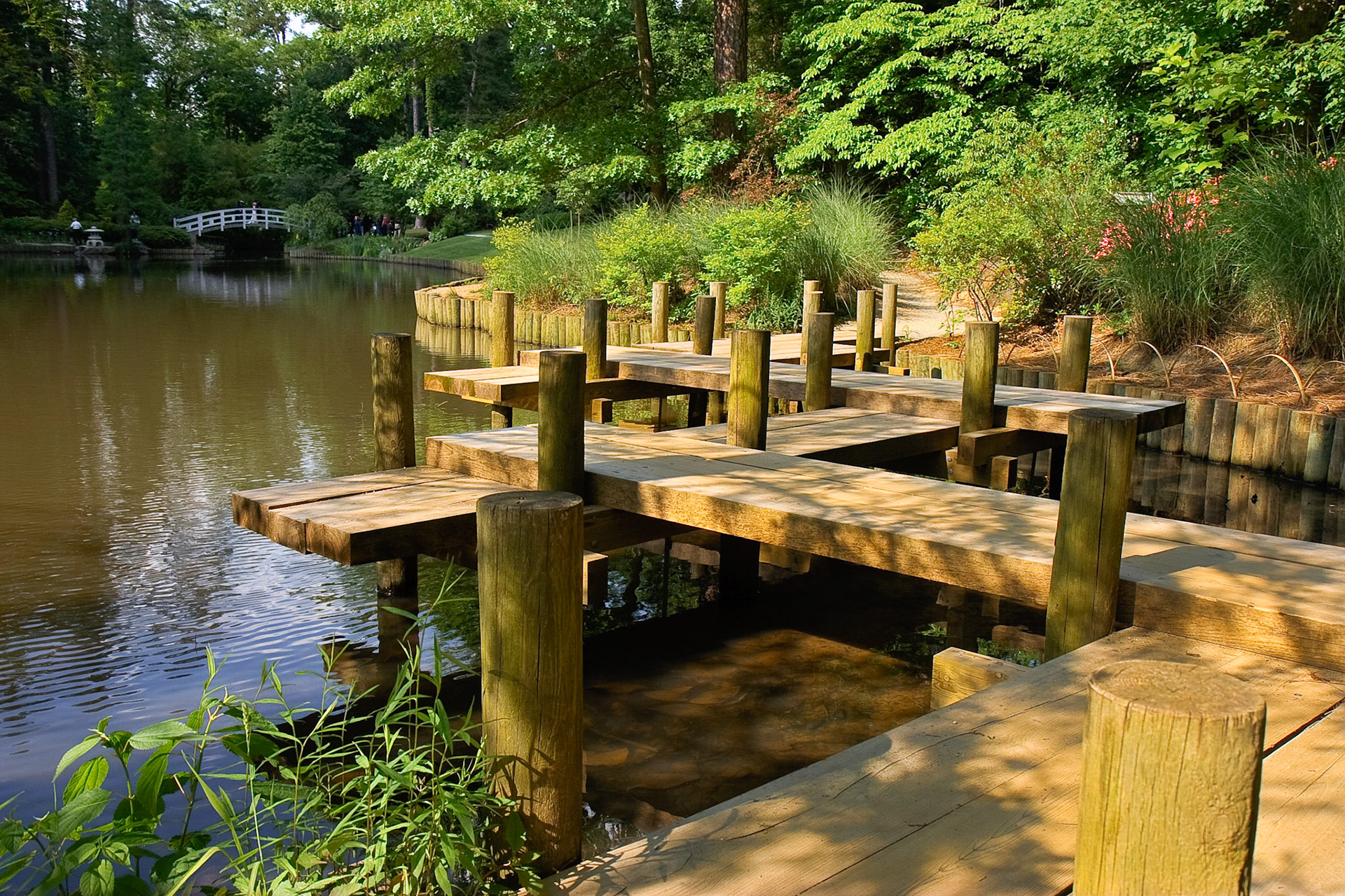 © Copyright 2008 Dan Roeder. All rights reserved.