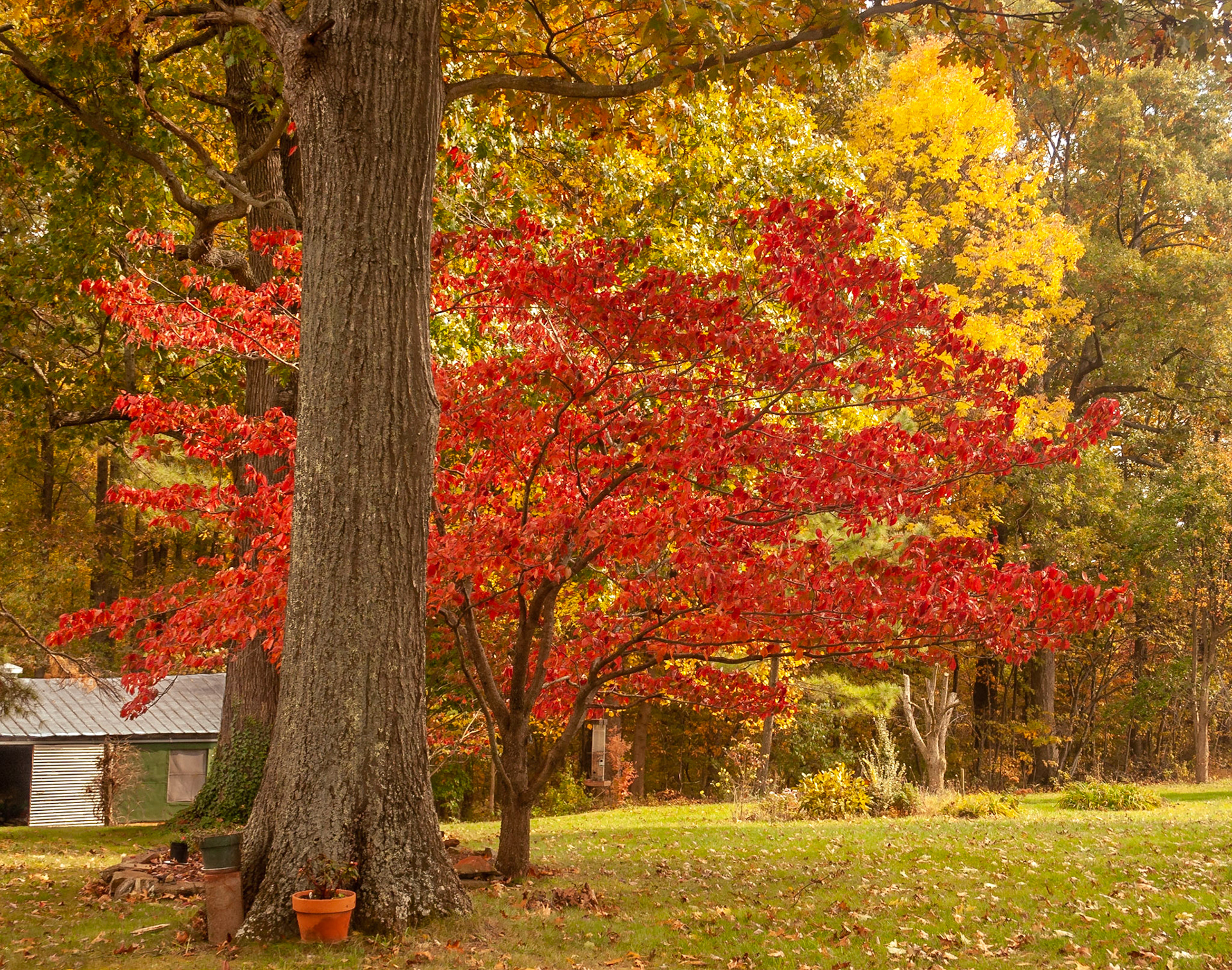 Chase City, Virginia