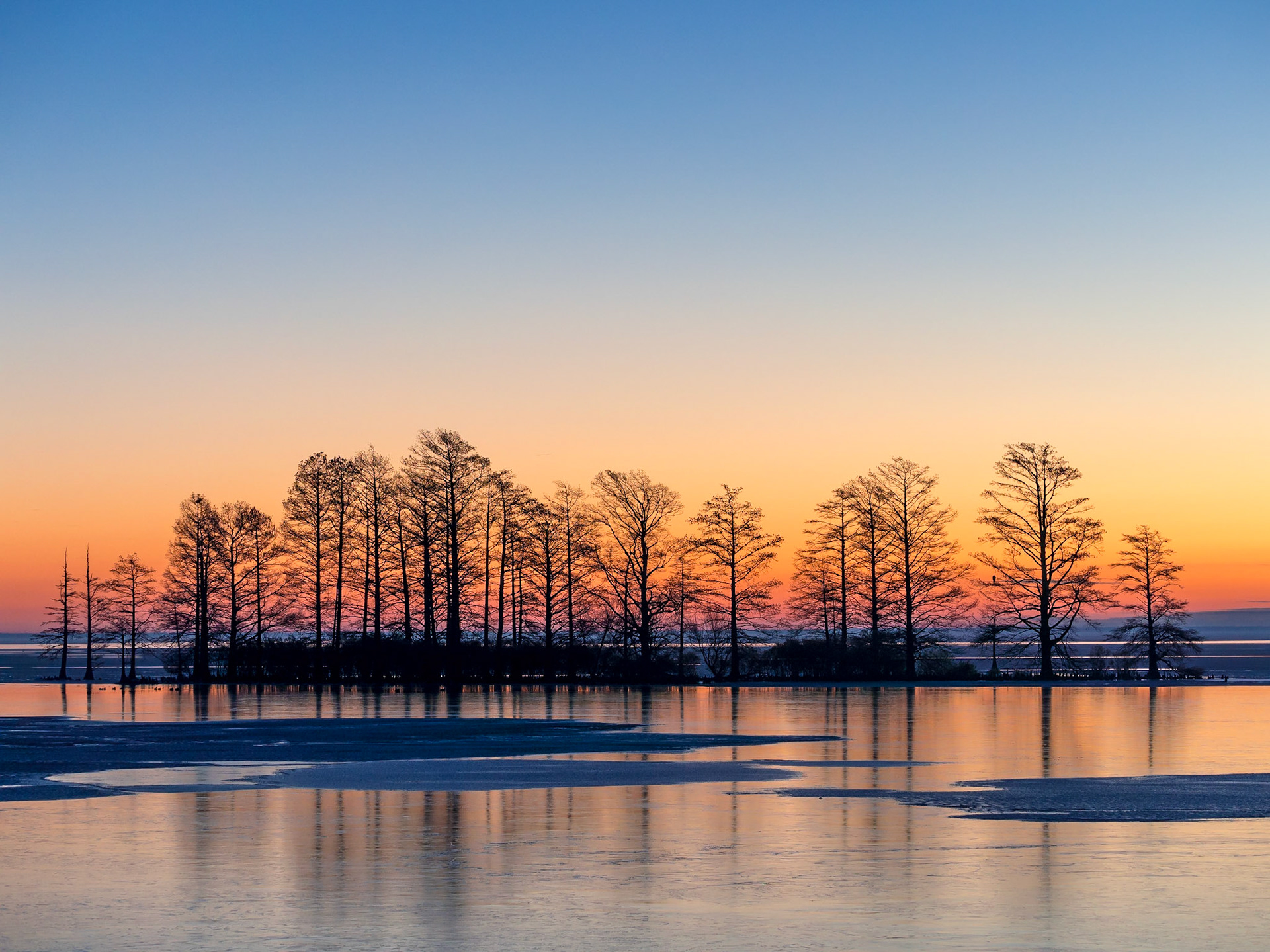 Lake Mattamuskeet, North Carolina
