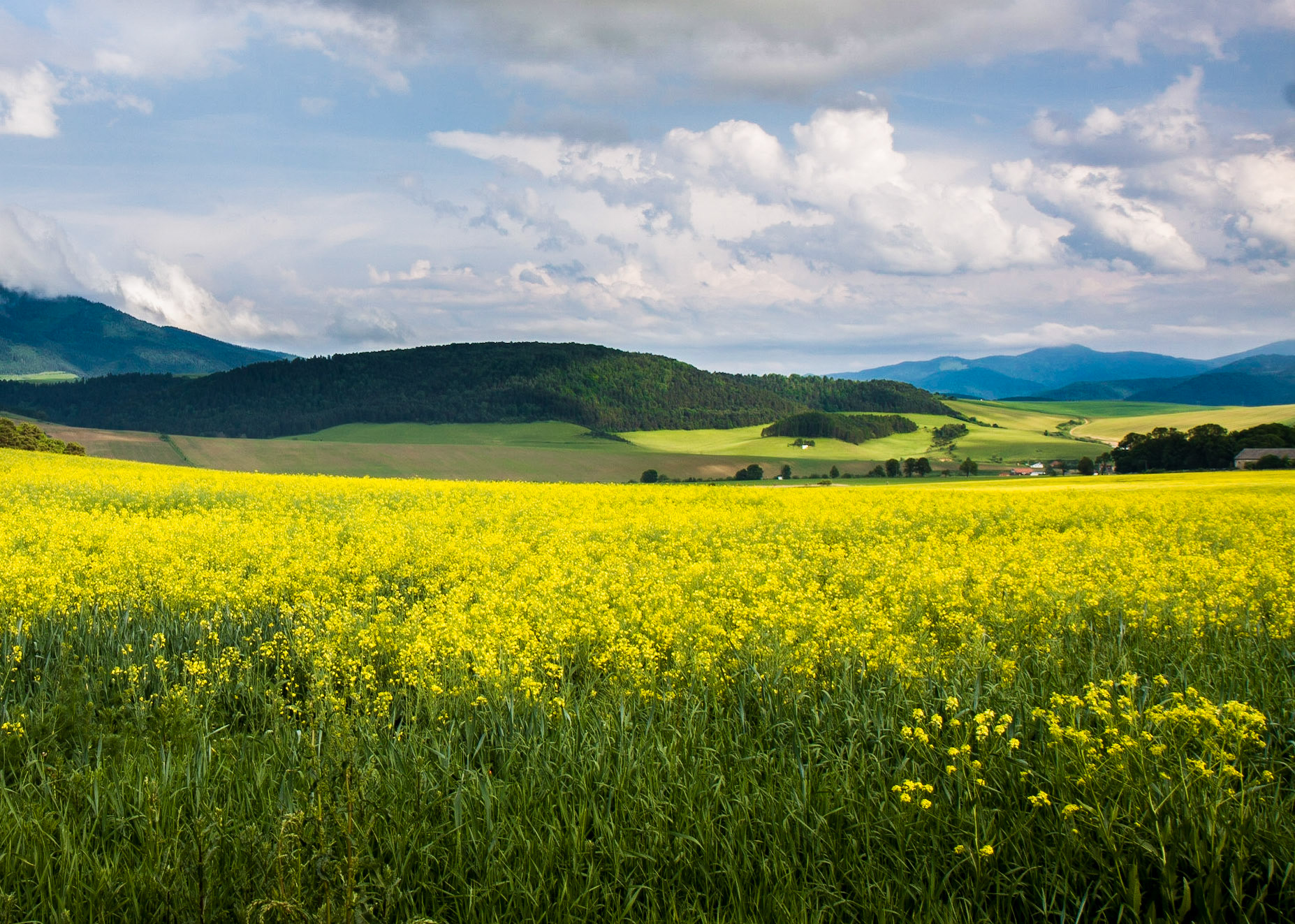 Slovakian Countryside