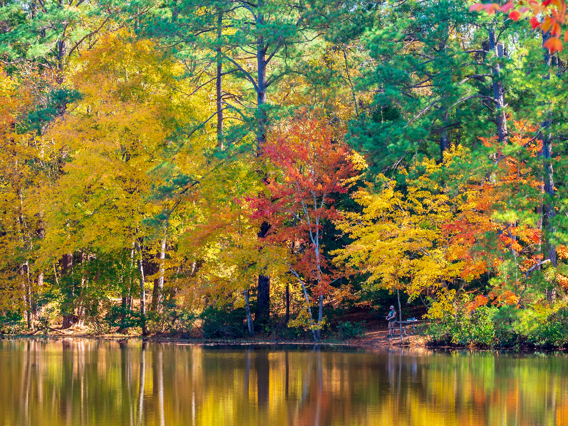 Lake Wheeler Park, Raleigh, NC