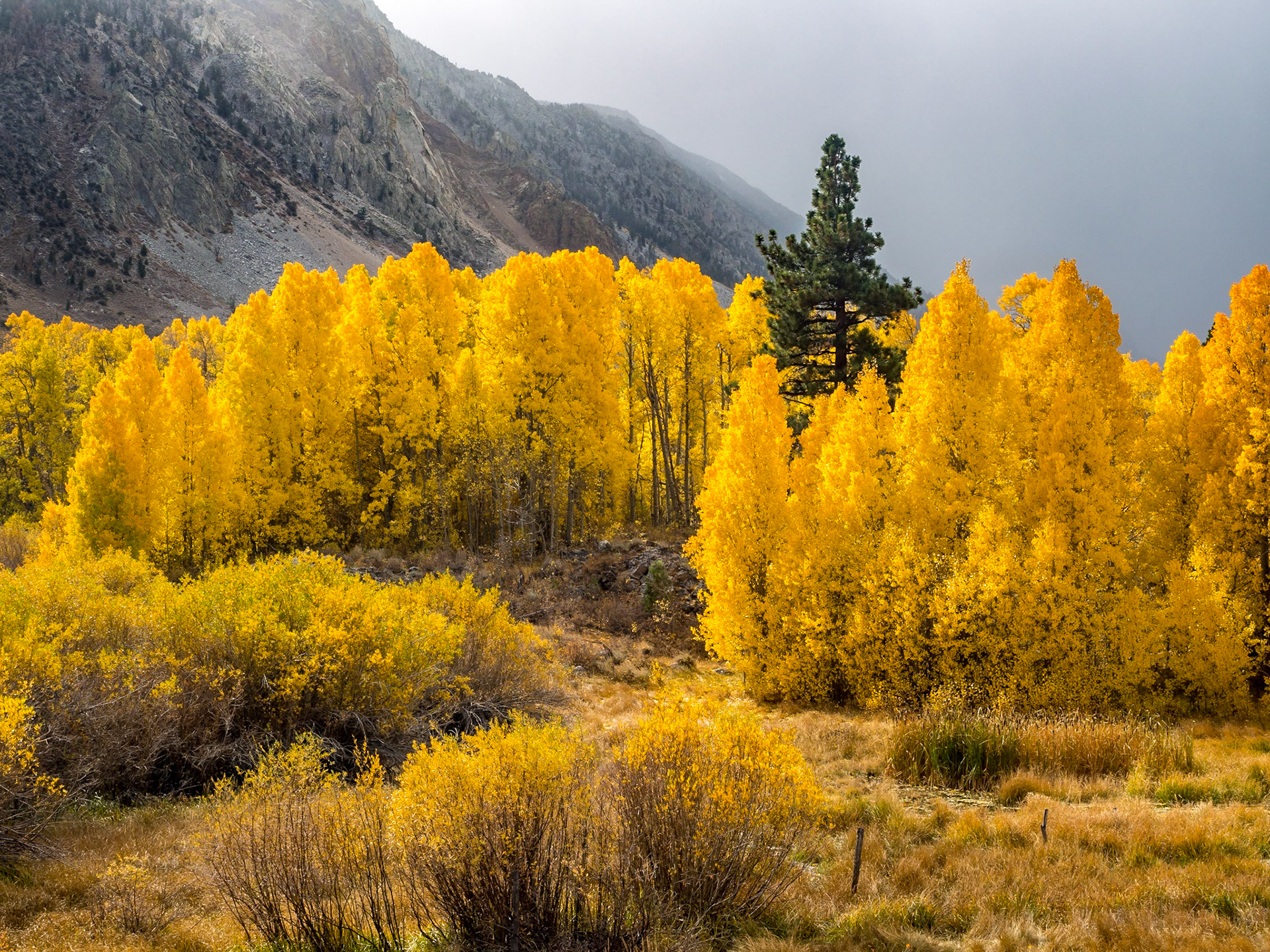Aspendell, California