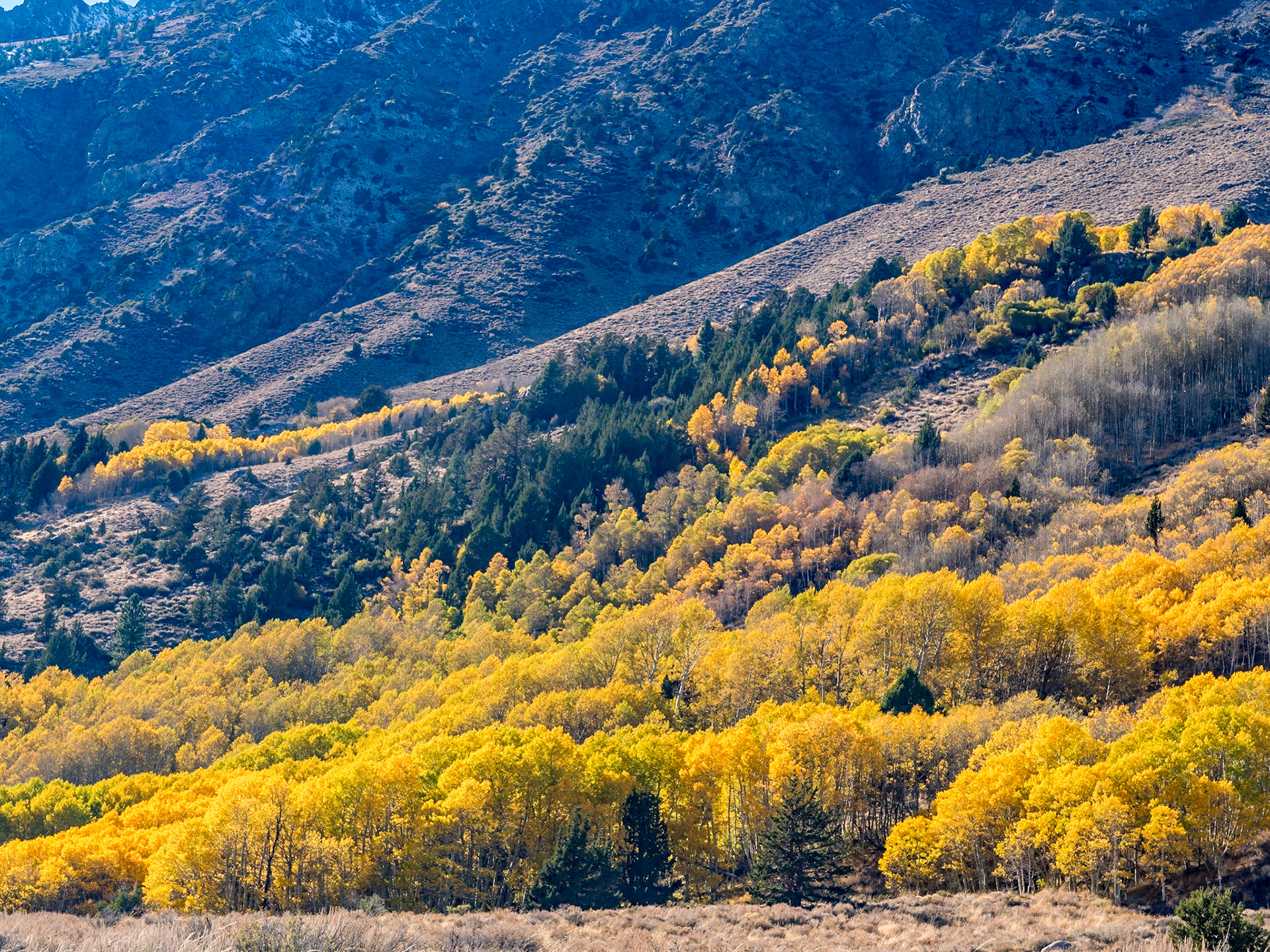 June Lake Loop
