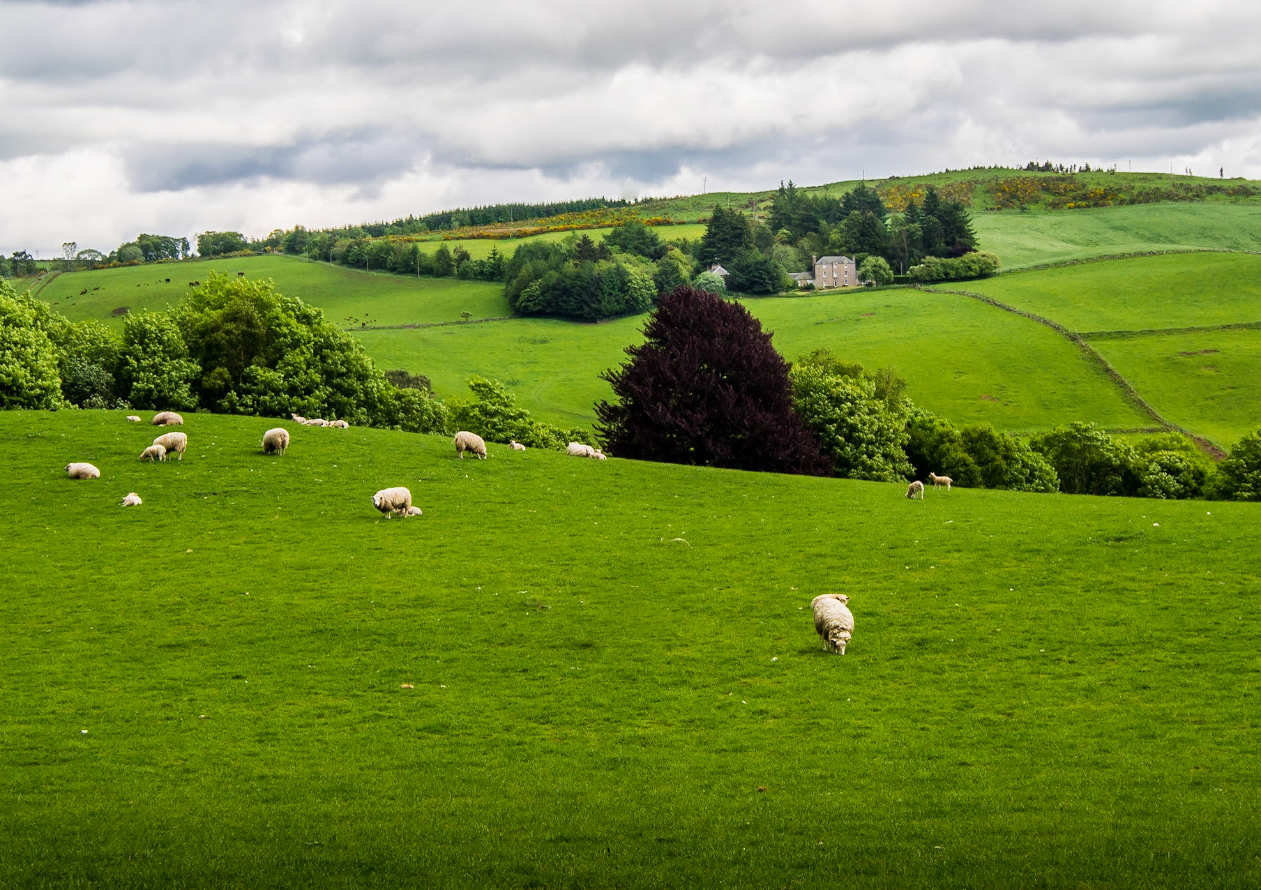 Perth and Kinross Countryside