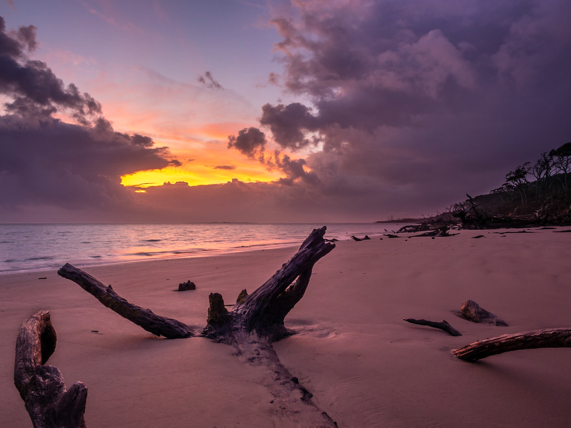 Big Talbot Island State Park, Florida