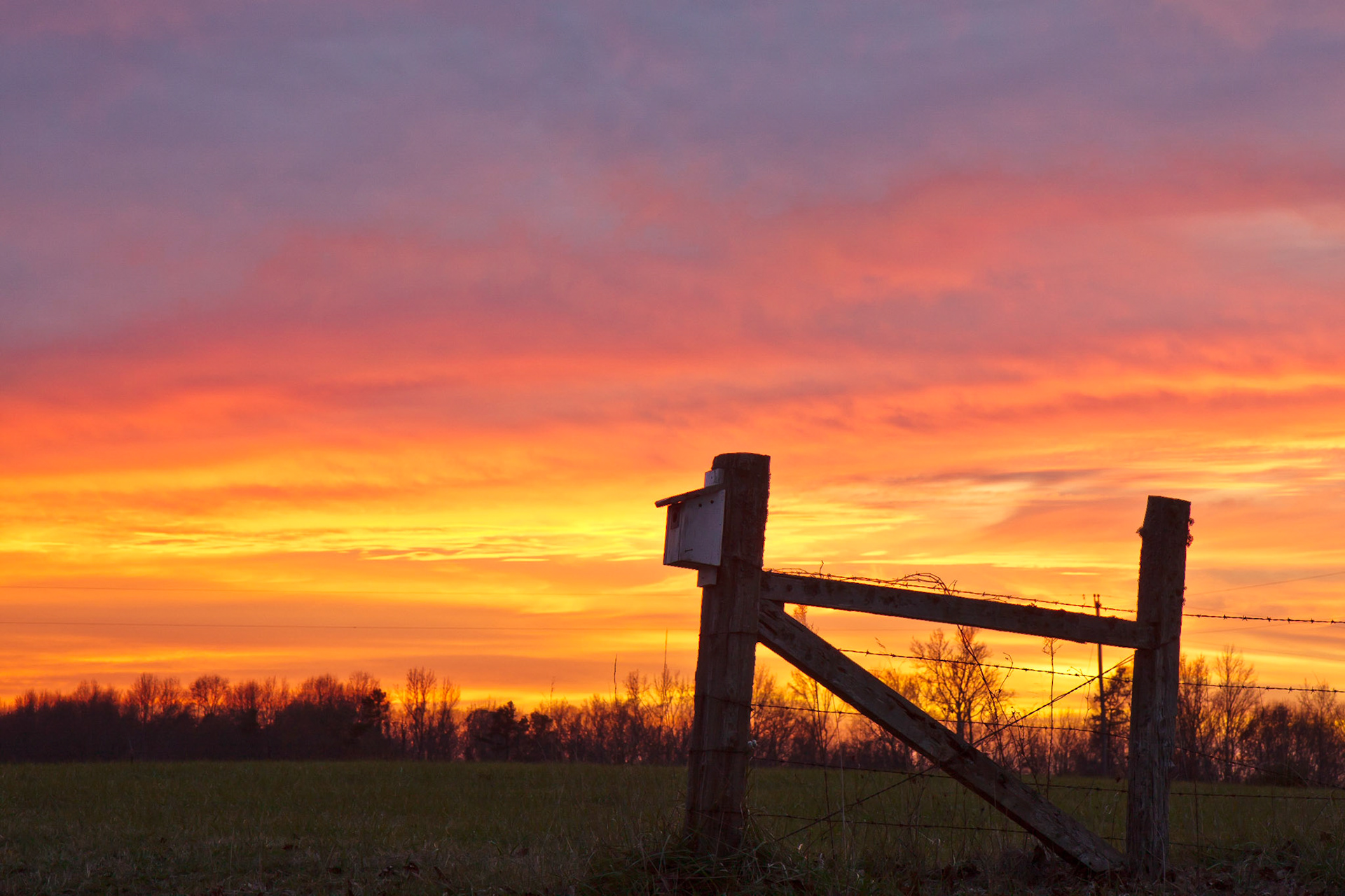 Sunset on the Farm