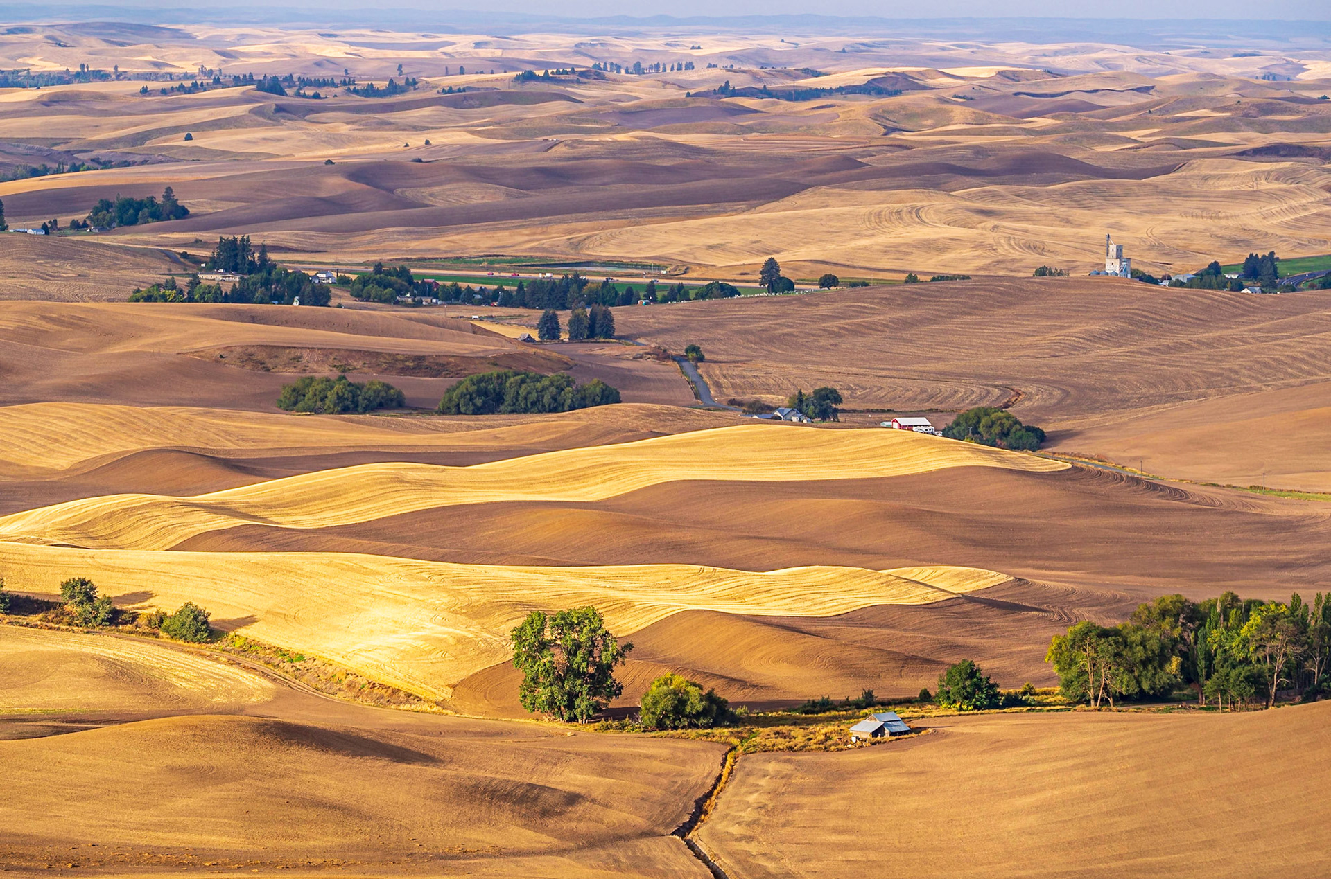 Patterns in the wheat fields of the Palouse