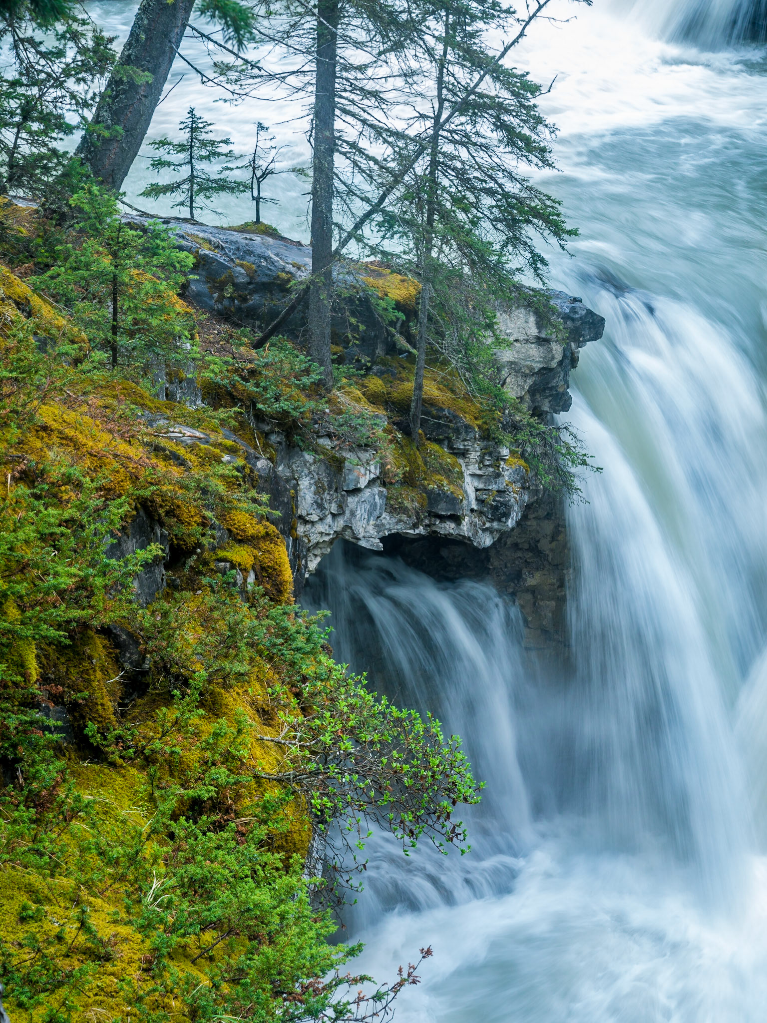 Banff National Park, Alberta, Canada