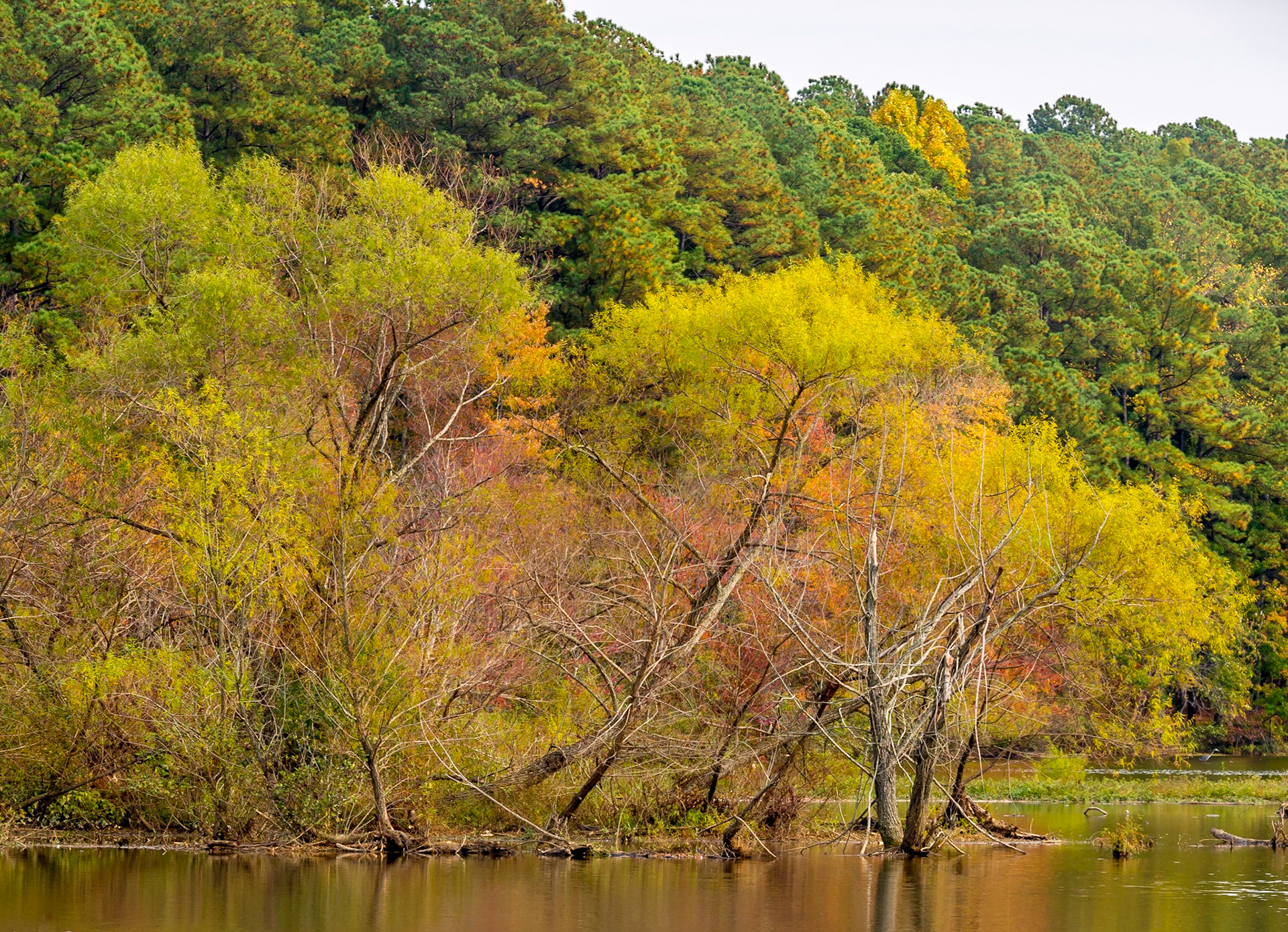 Raleigh, North Carolina
