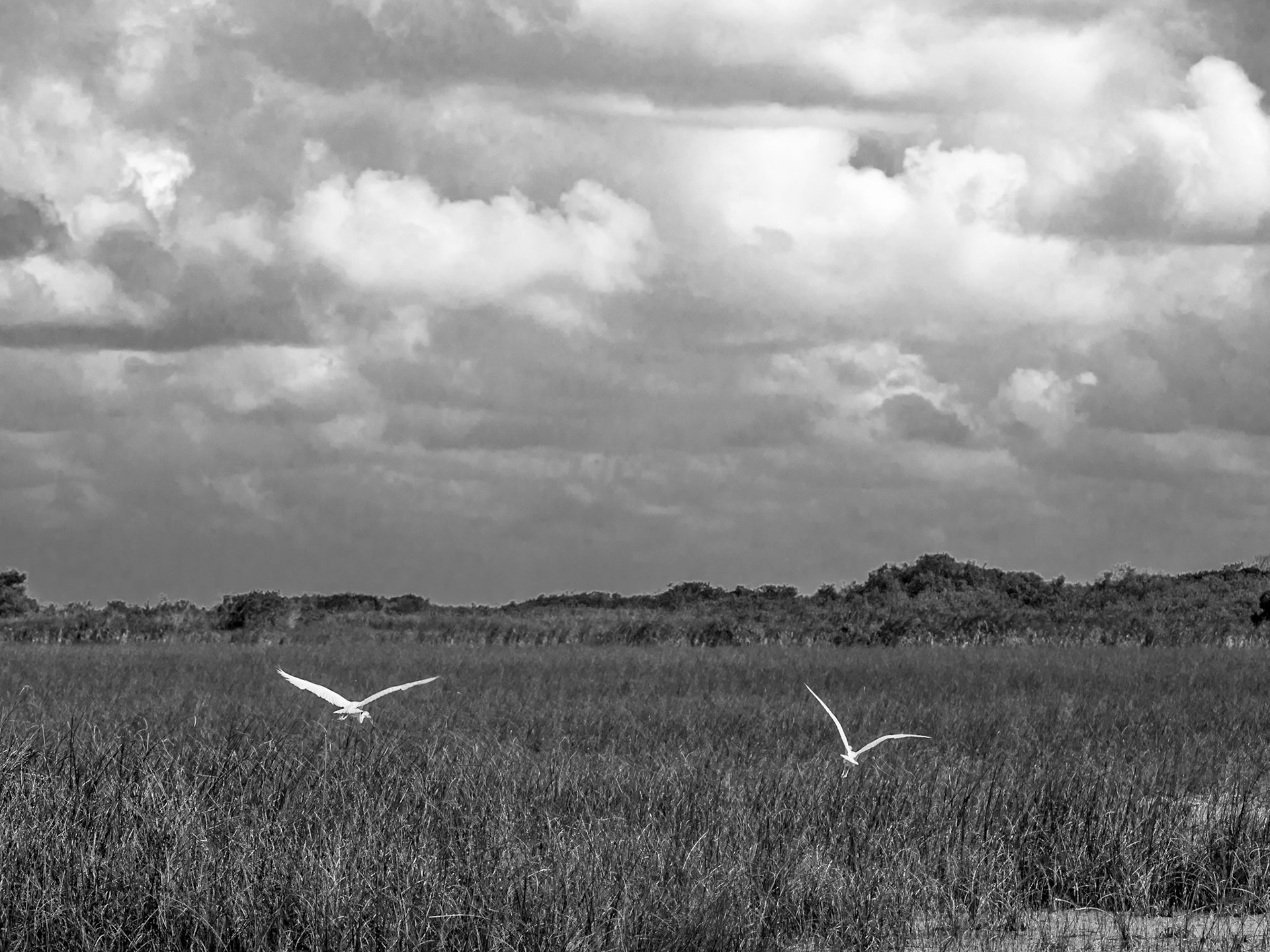 Clouds Over the Everglades