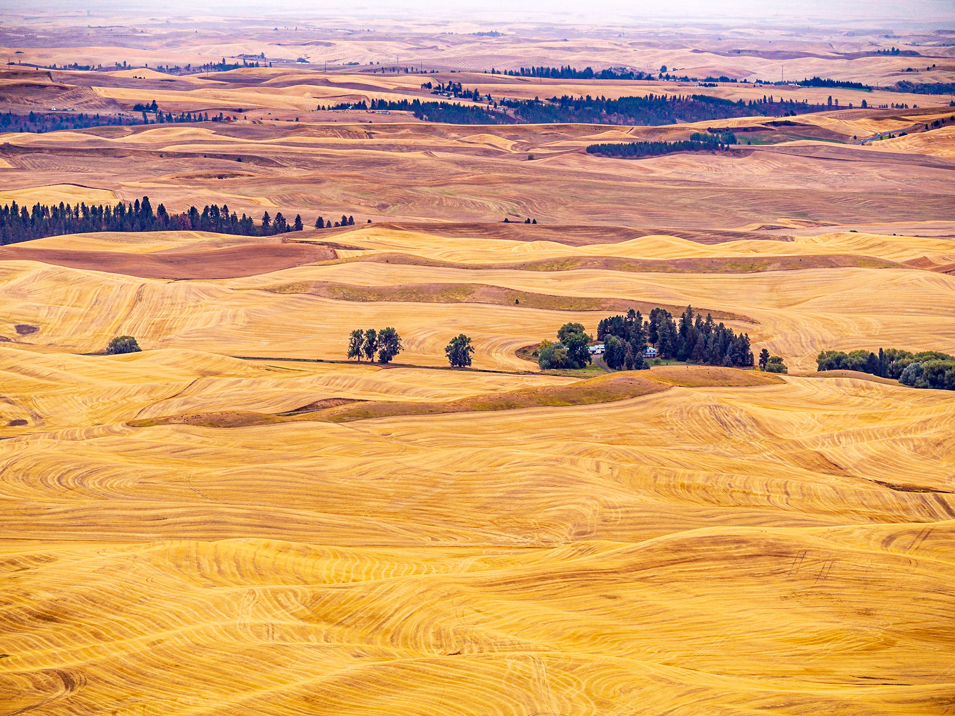 Patterns in the wheat fields of the Palouse