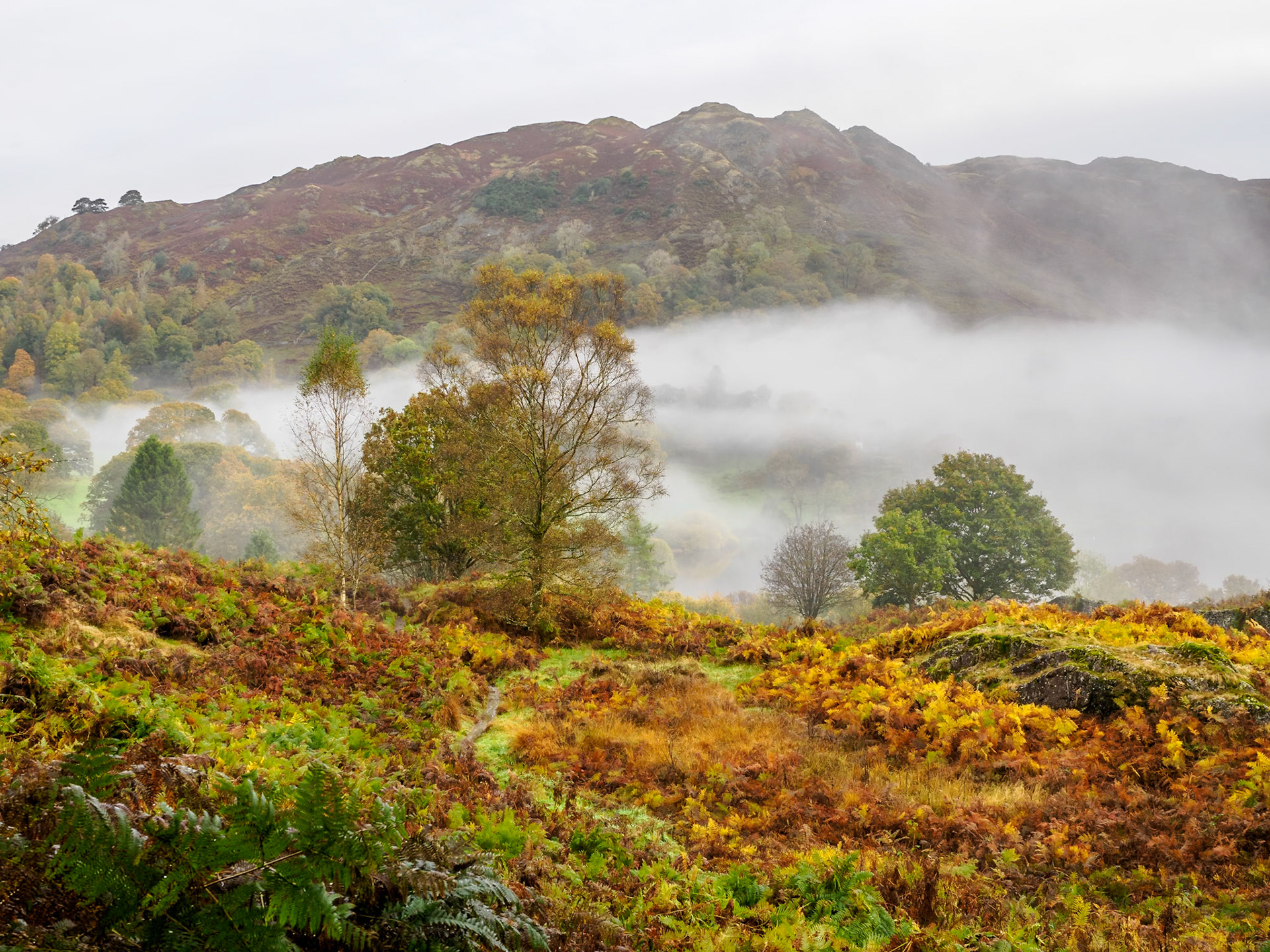 Loughrigg Fell