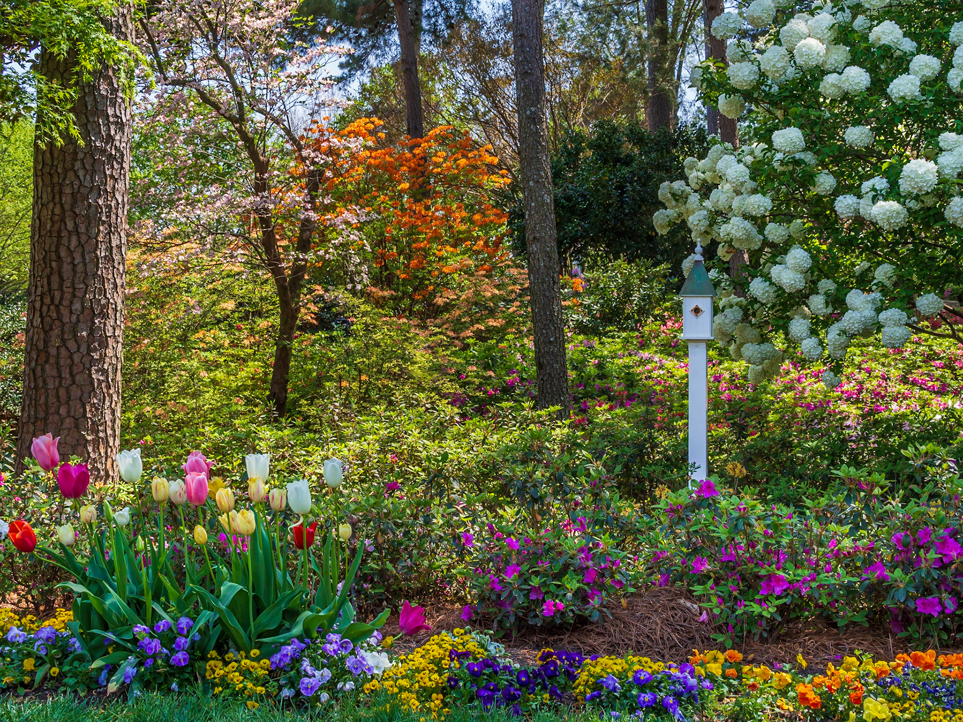 WRAL Gardens, Raleigh, North Carolina