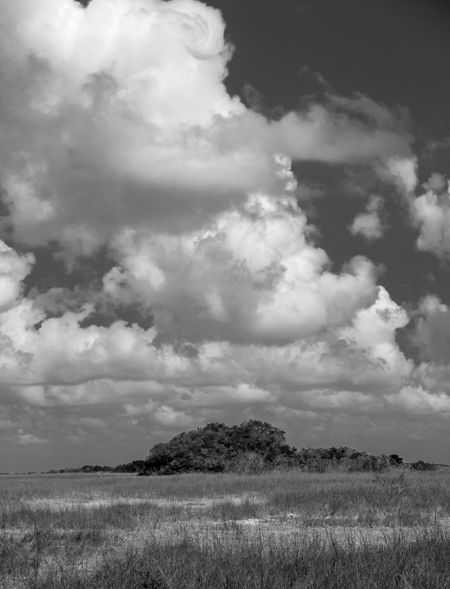 Everglades National Park, Florida