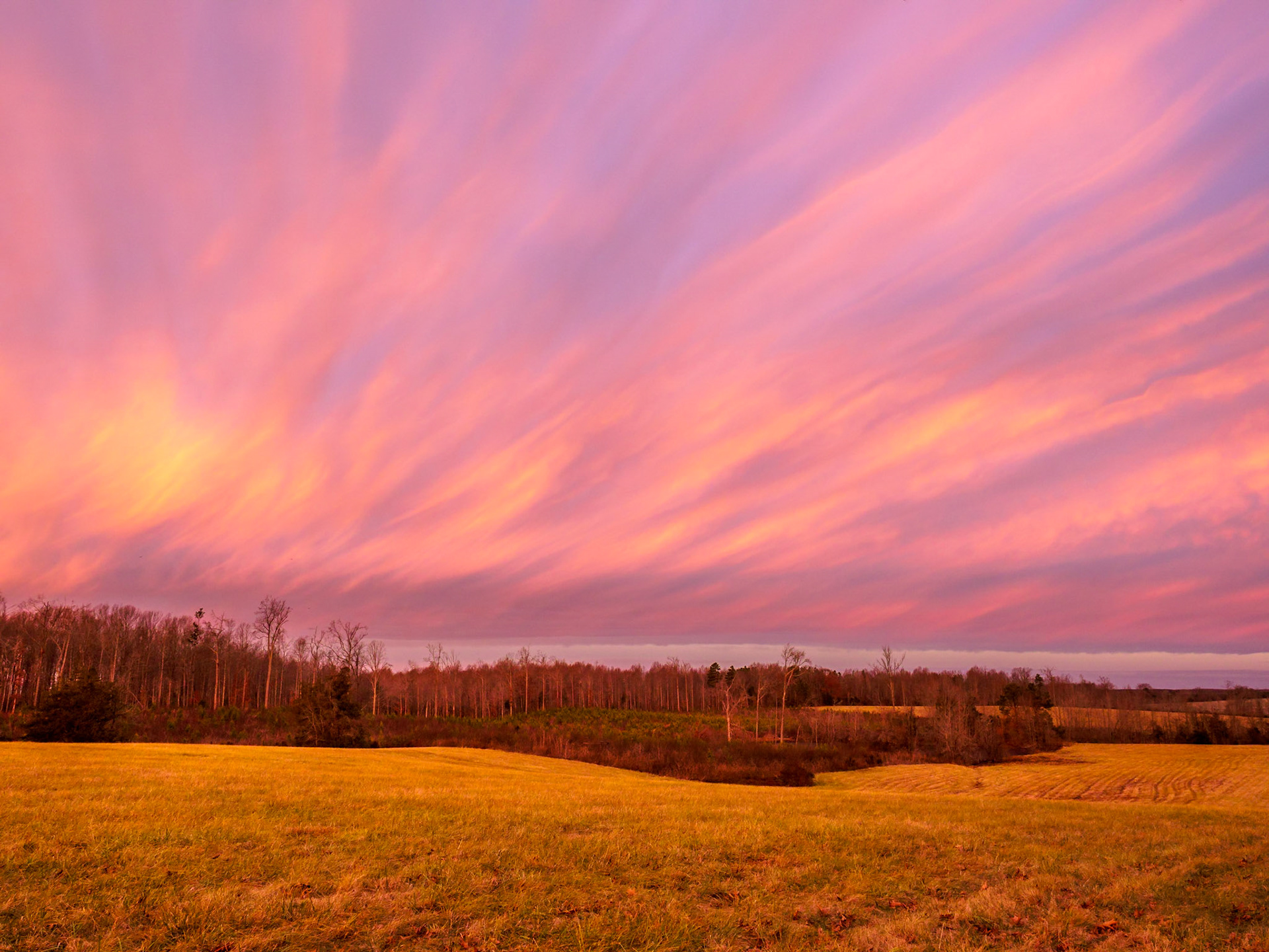 Chase City, VA