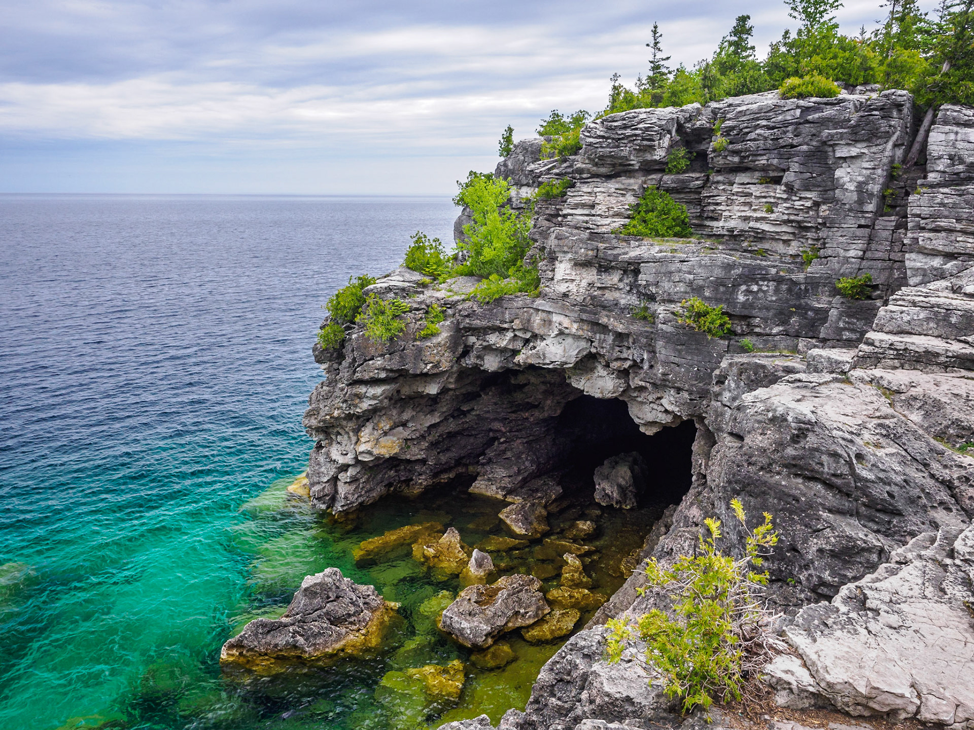 The Grotto is a large sea cave carved into the limestone shoreline along Georgian Bay. Inside the Grotto there is a pool of water with an underwater passage to the exterior of the cliff face. It is possible to climb down to the cave's large opening. Fortunately, Dan decided he didn't need to go down there. Whether he is showing his age or IQ hasn't been determined.