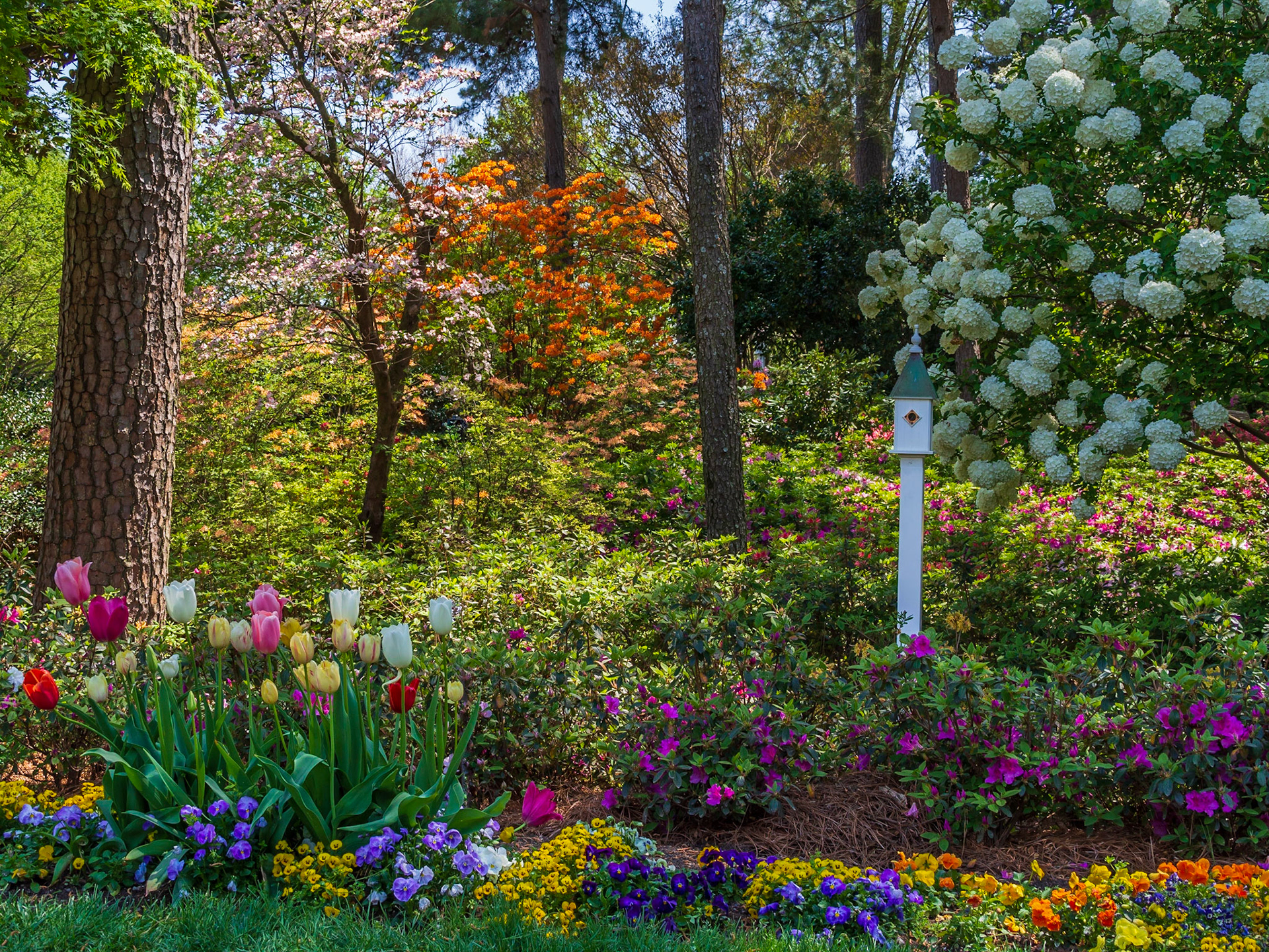 WRAL Gardens, Raleigh, North Carolina