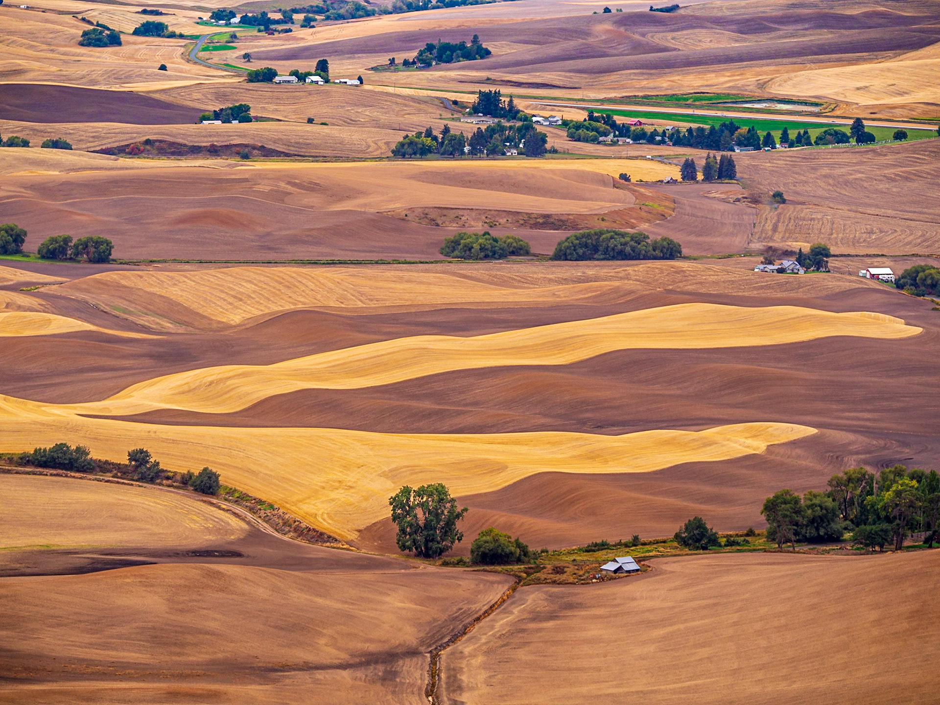 Patterns in the wheat fields of the Palouse