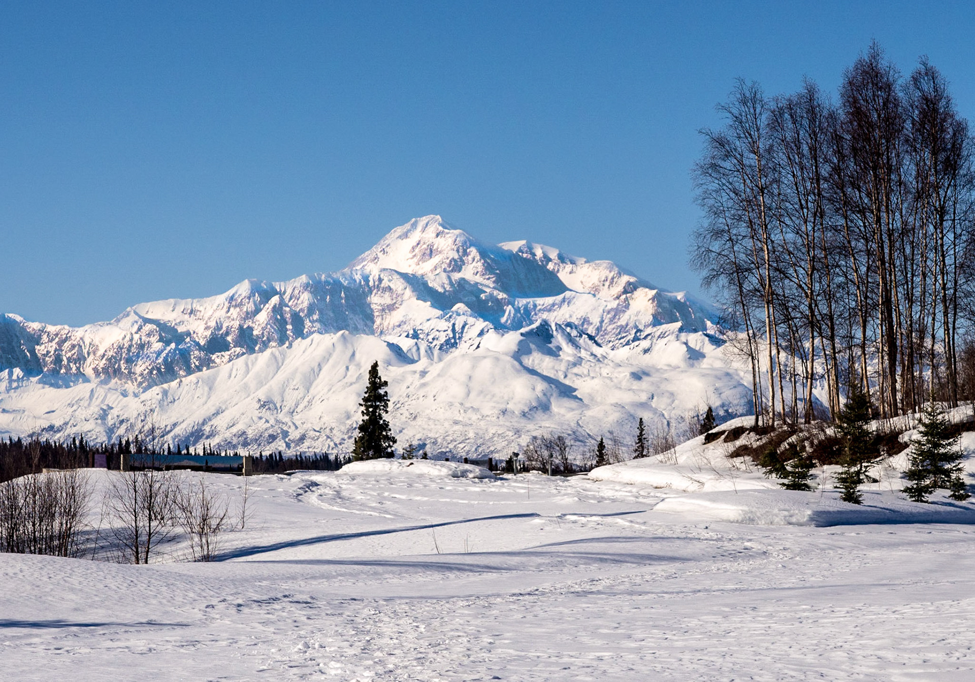 Denali National Park