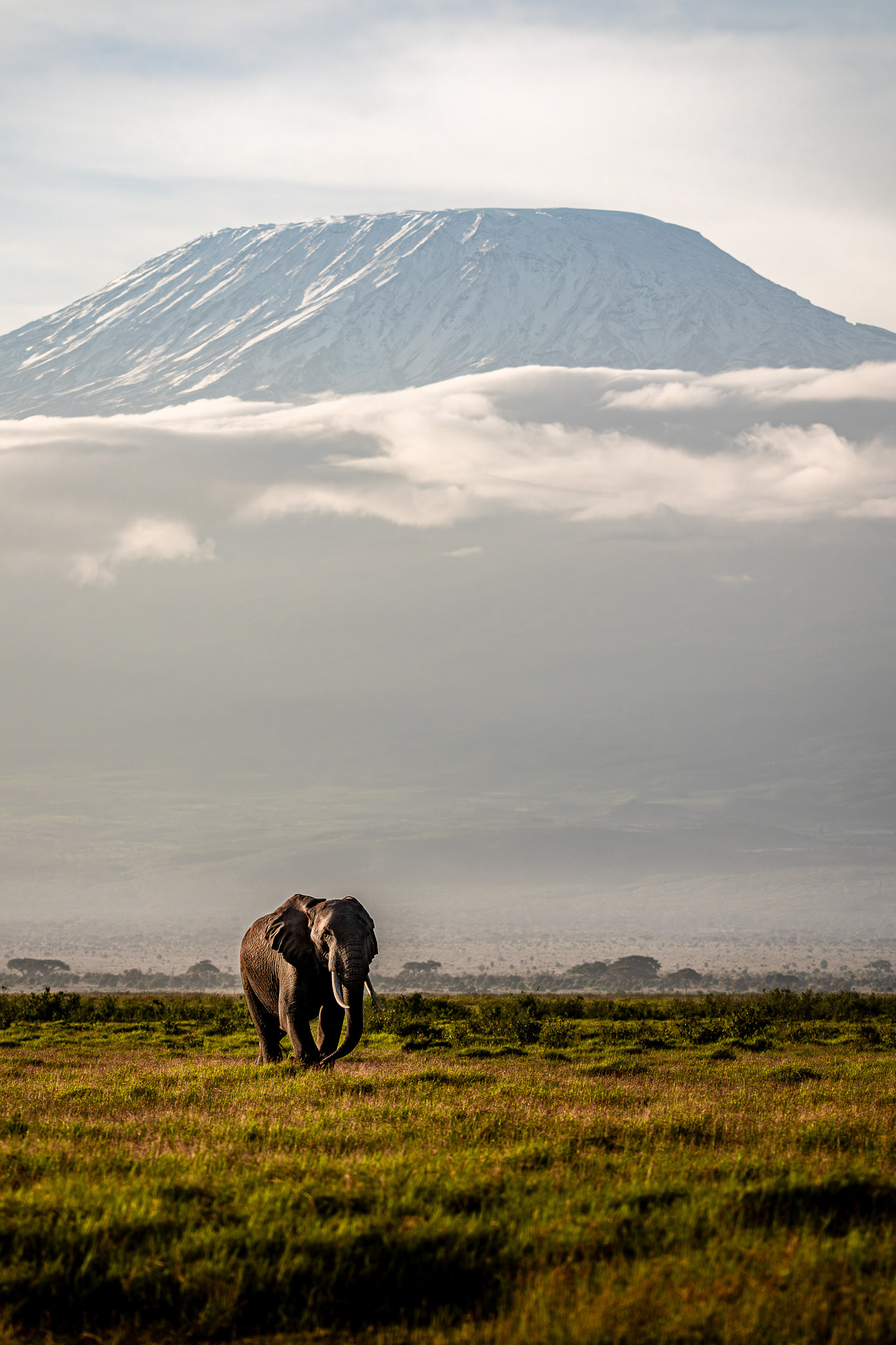 Amboseli