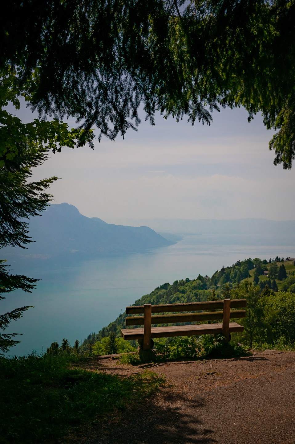 Lake Geneva - 2022