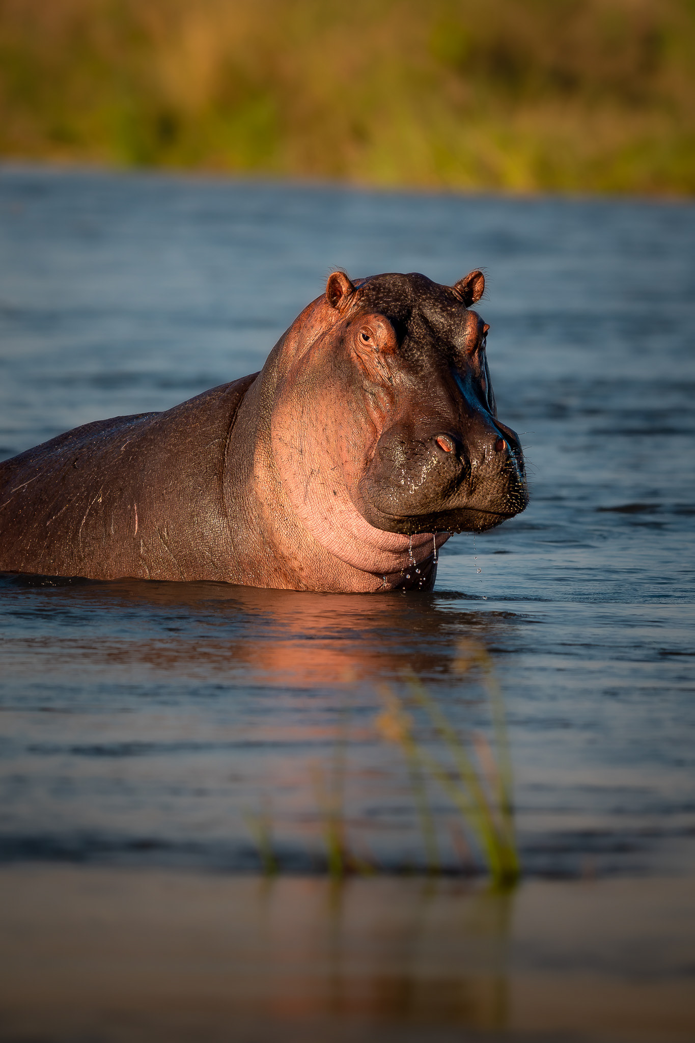 Lower Zambezi