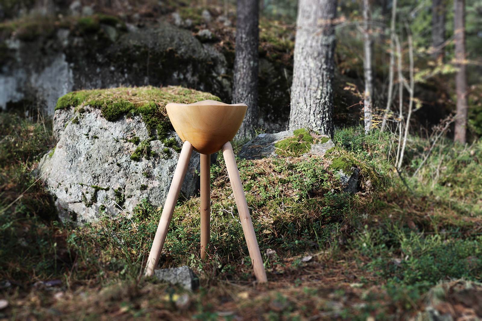 Stool made from two diverse tree species
