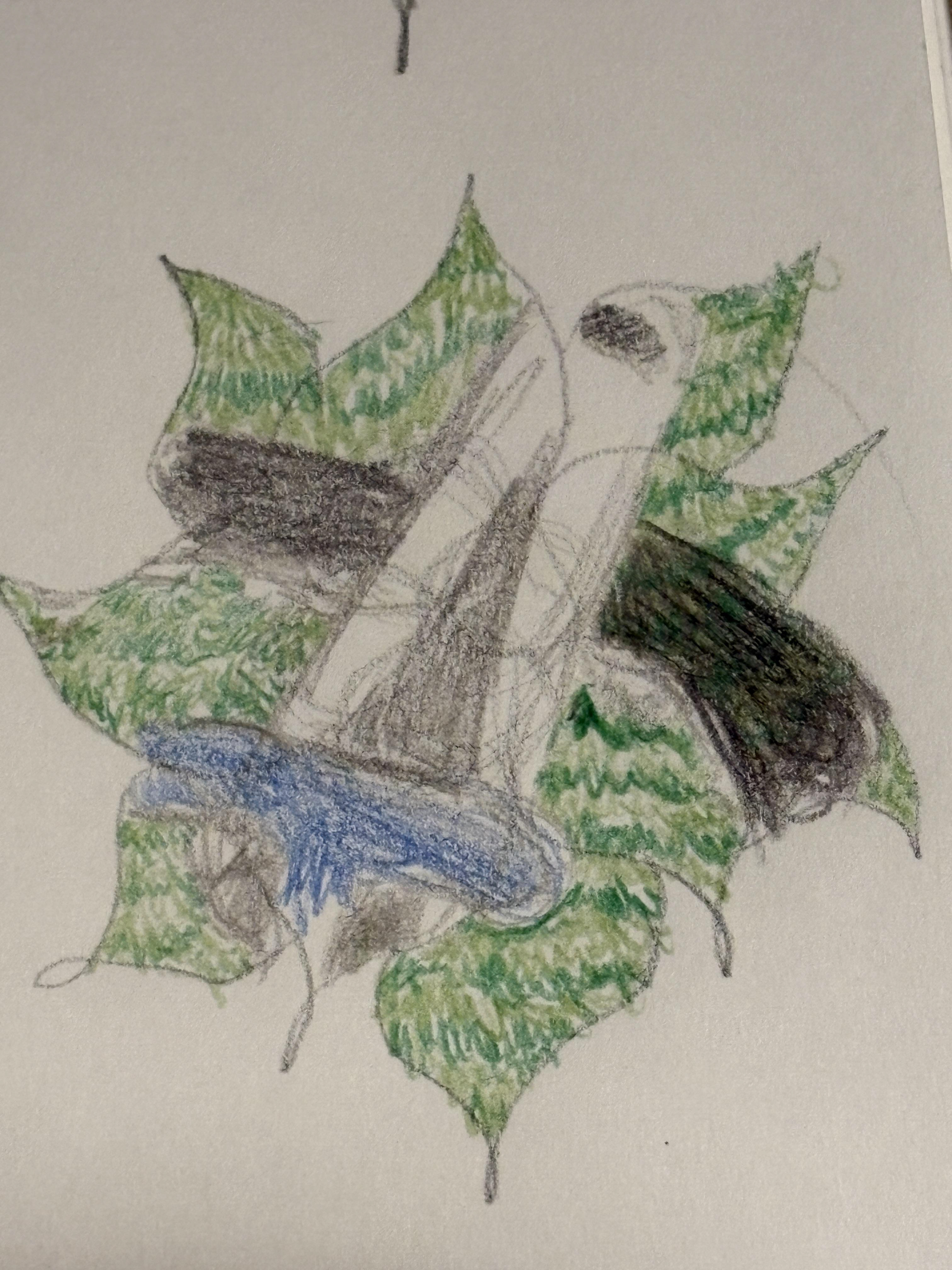 One of the drawn designs used in the album.