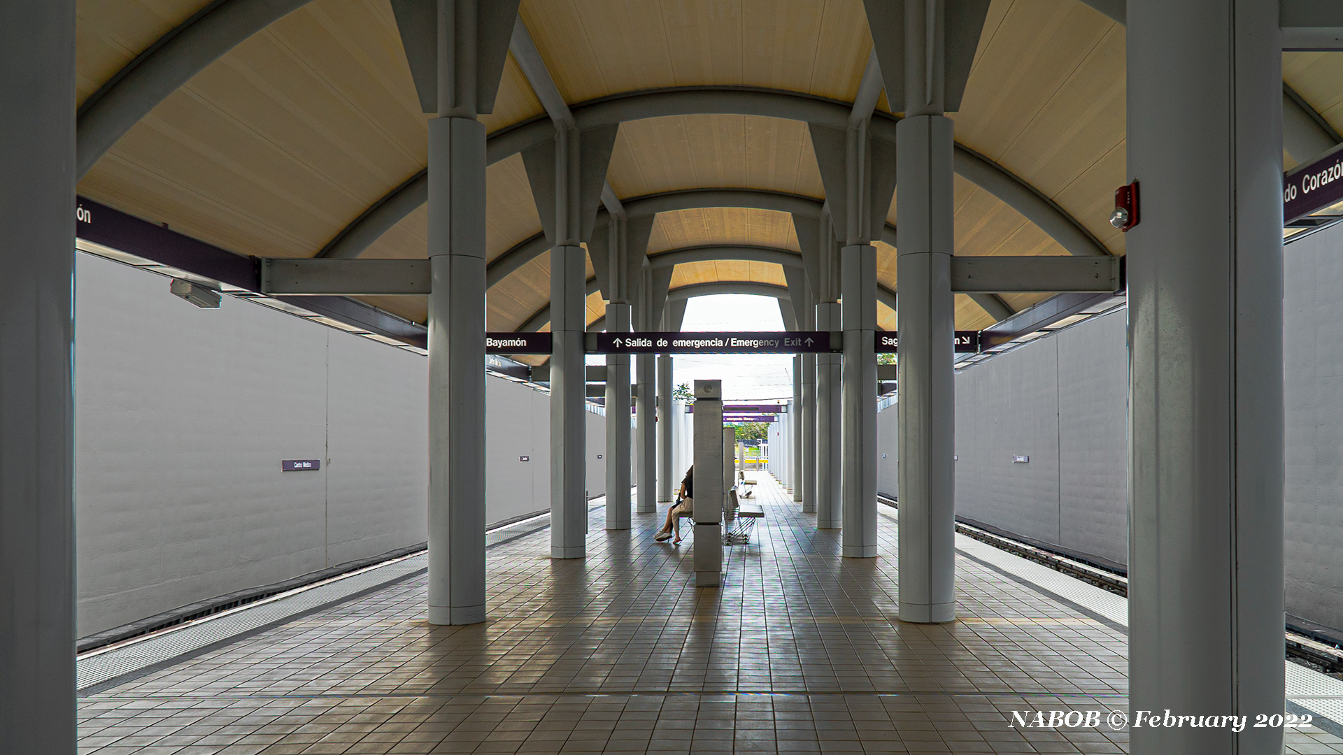 Centro Medico Station, Tren Urbano