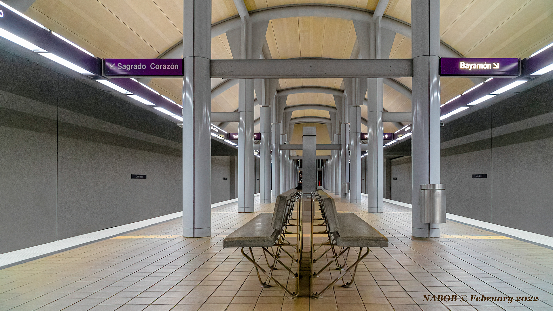 Centro Medico Station, Tren Urbano