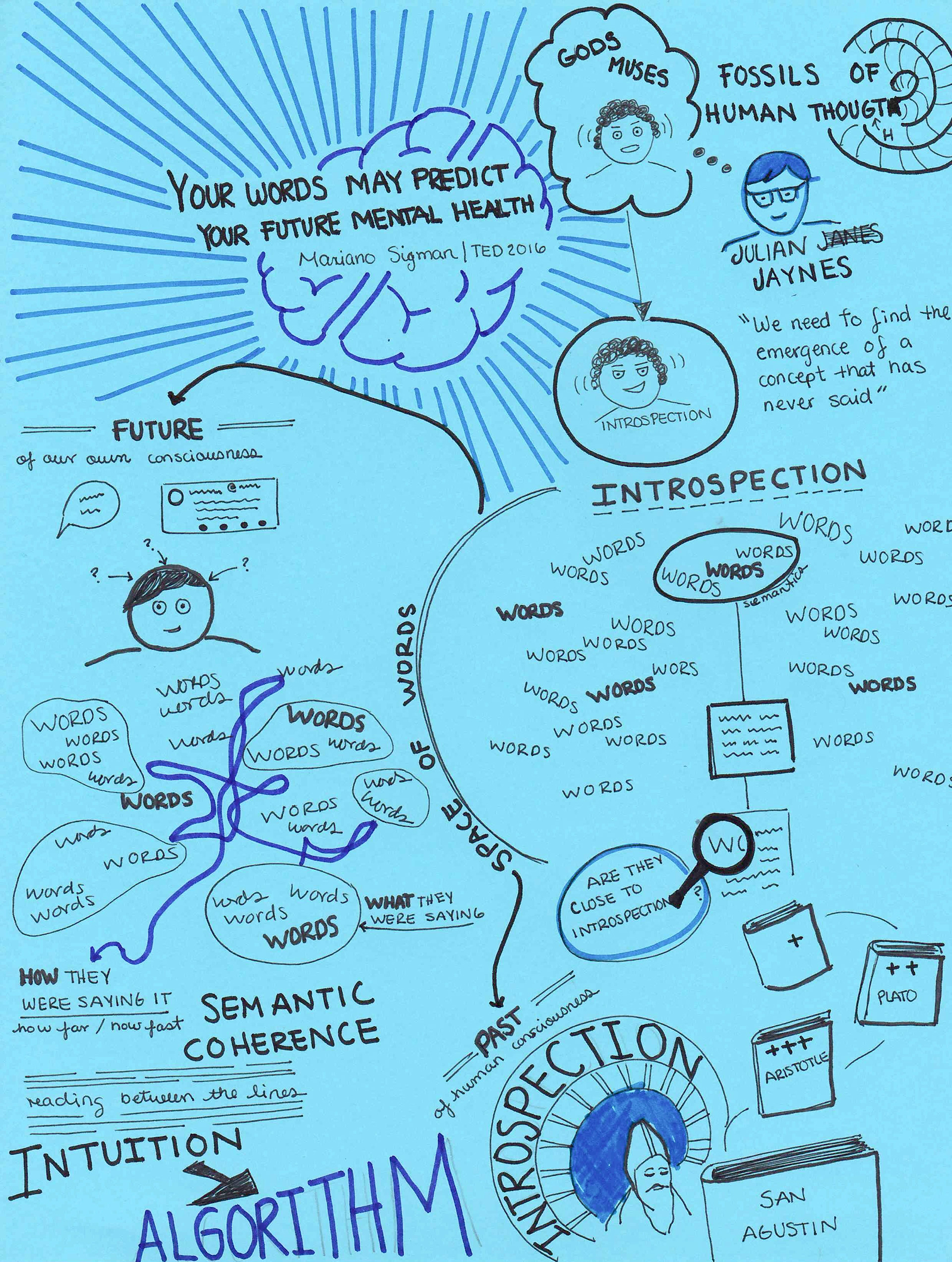 Ted Talk about words and introspection by Mariano Sigman