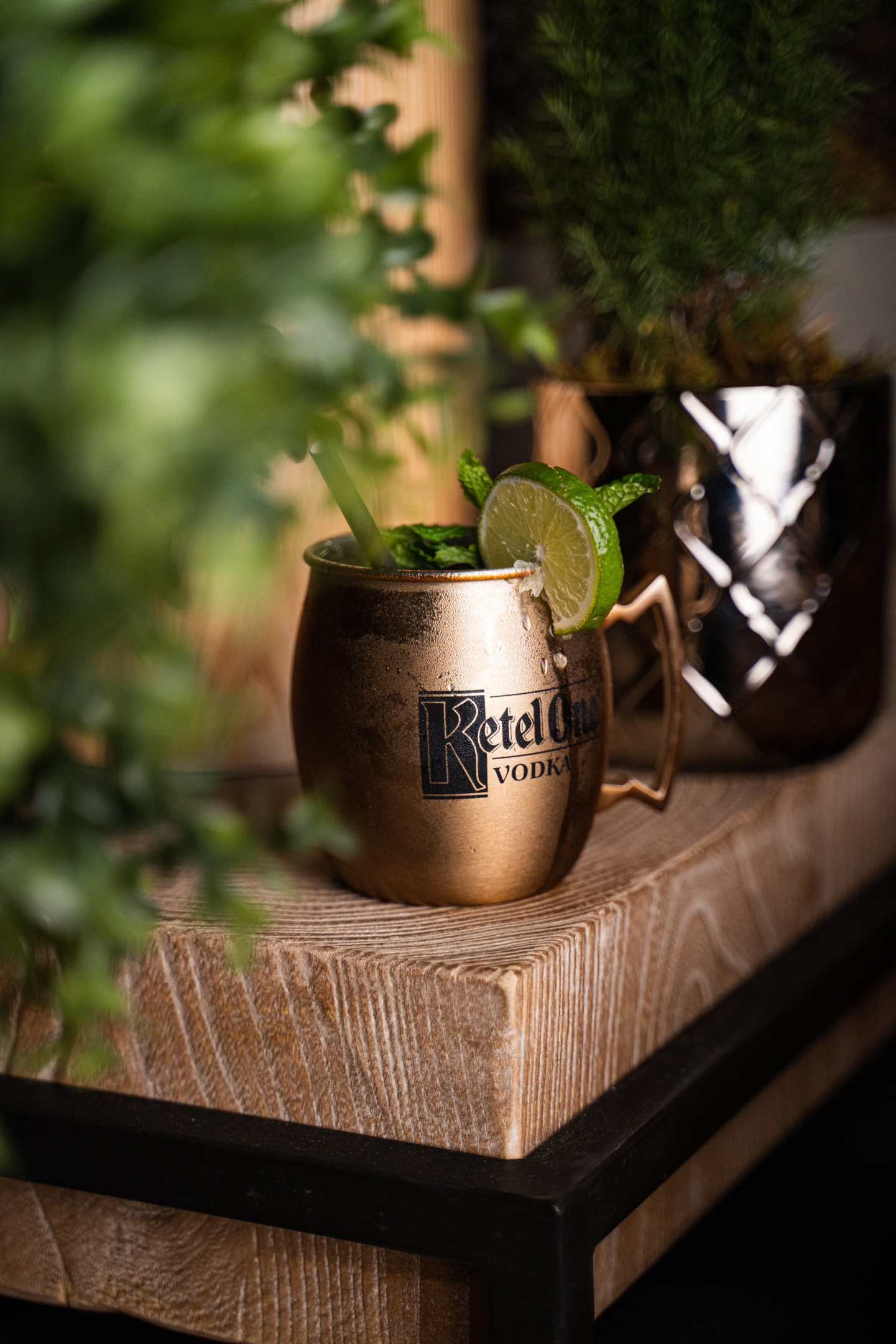 CENTRAL GASTRONÓMICA, SDQ