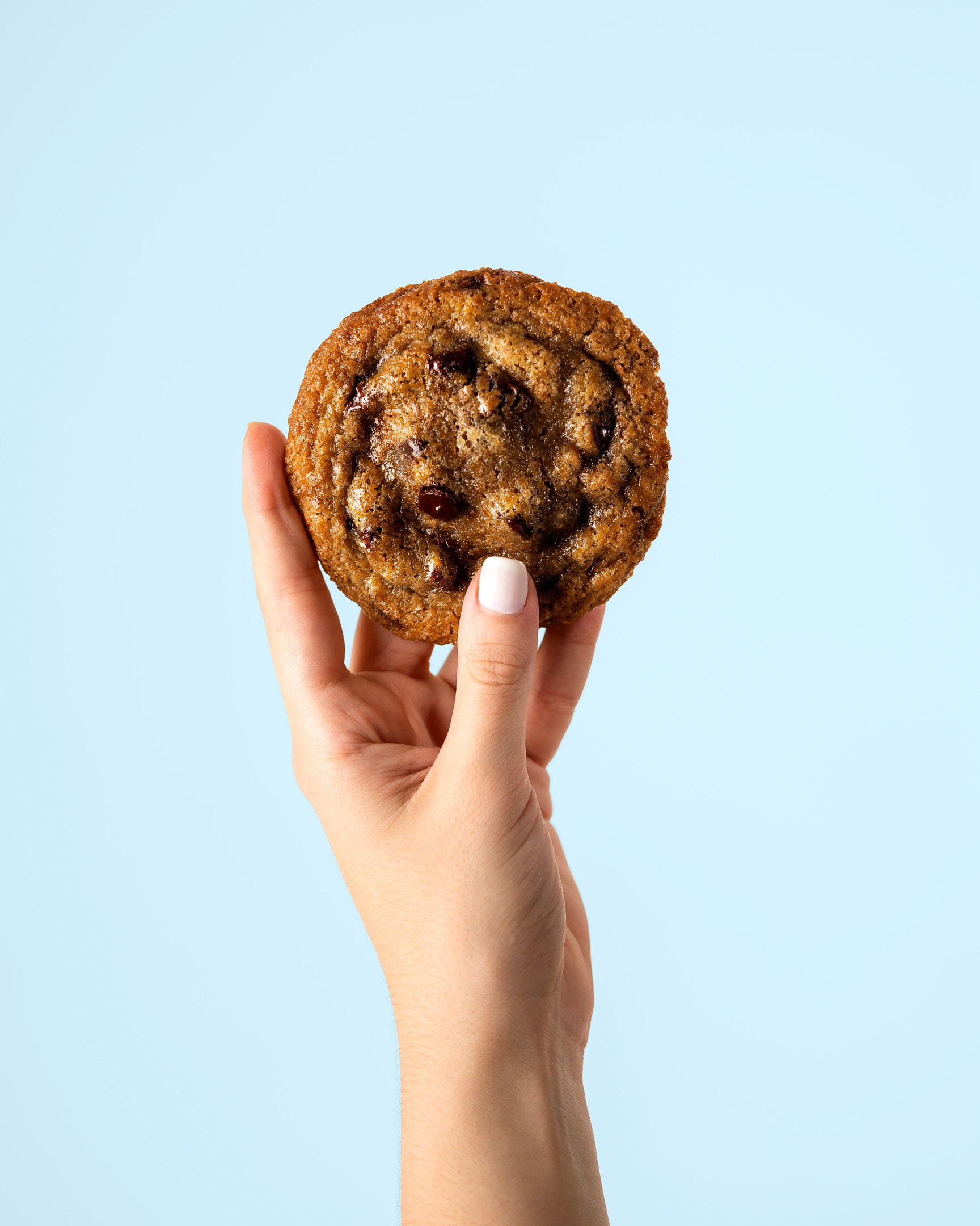 CATA FOOD WITH LOVE, SDQ