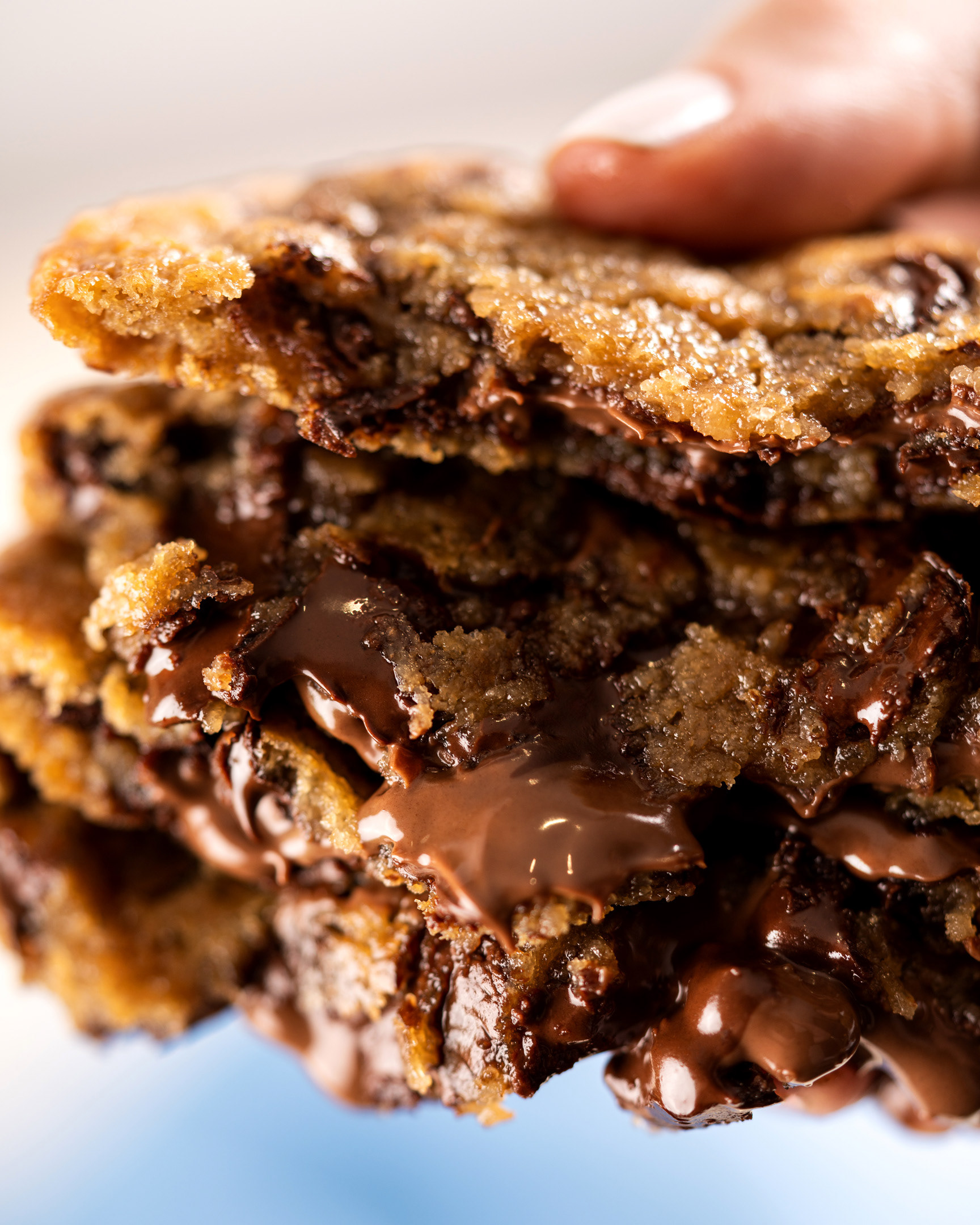 CATA FOOD WITH LOVE, SDQ