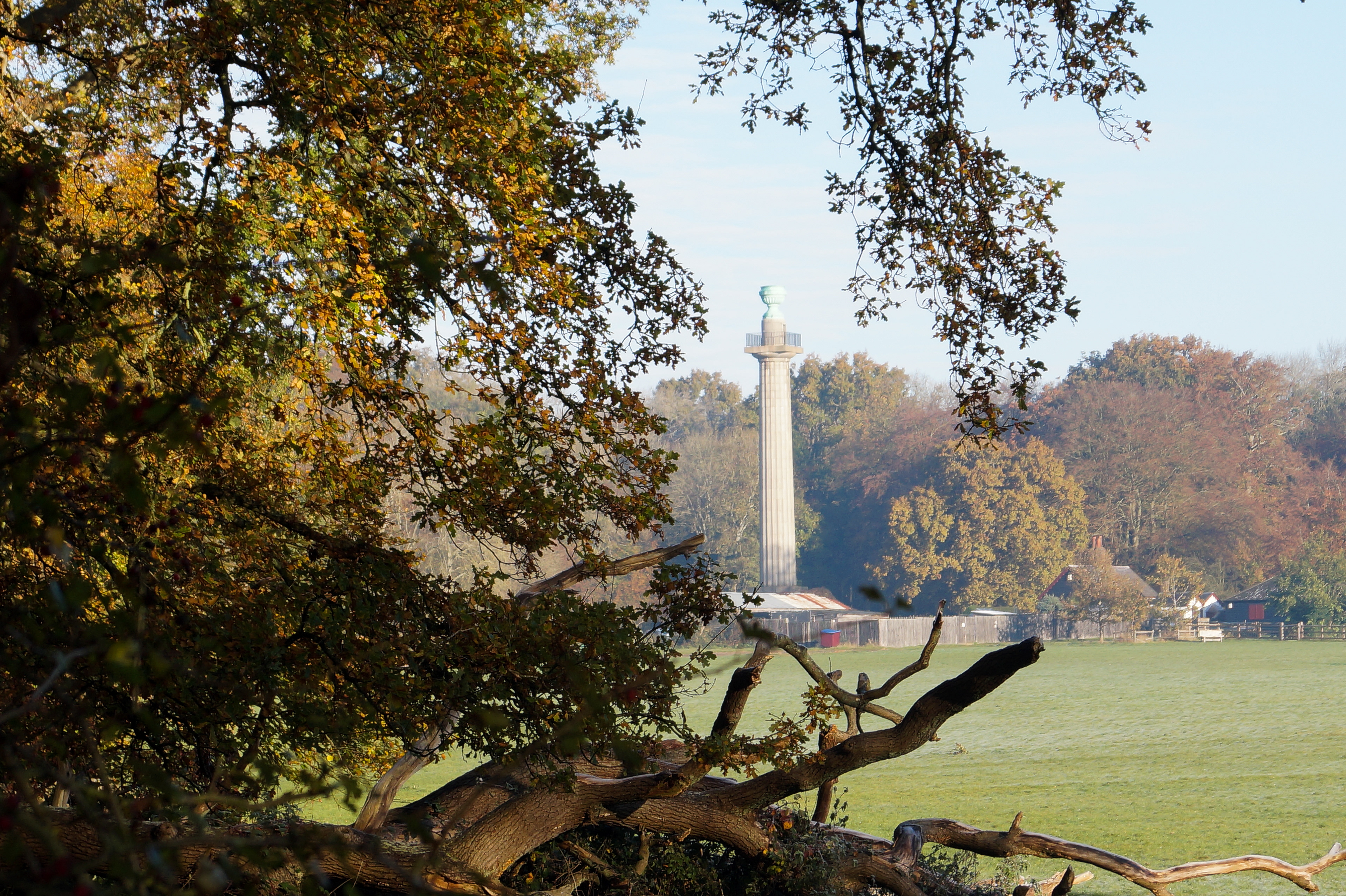 The Bridgewater monument at Ashridge