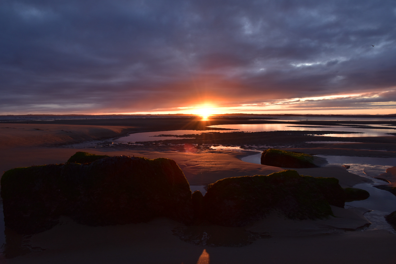 Winter Sunrise across Dornoch Beach