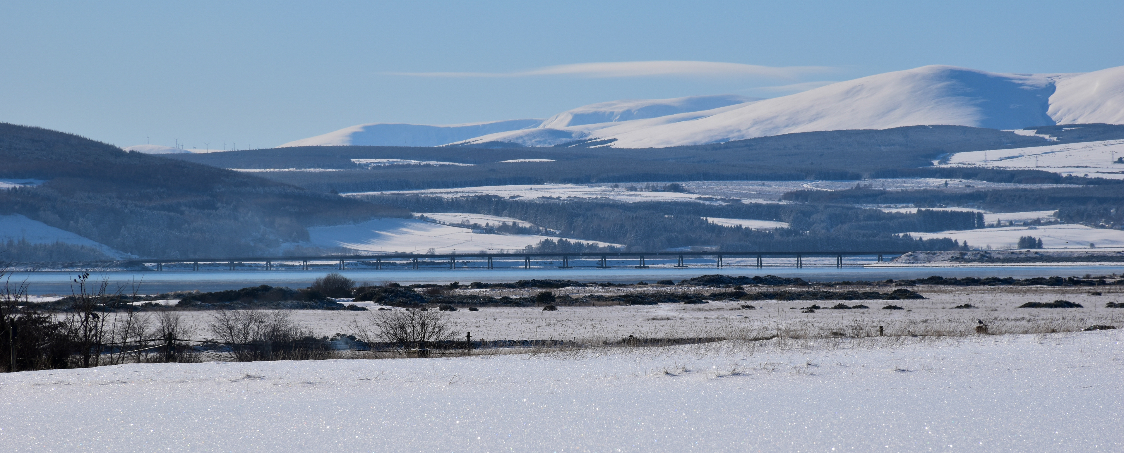Dornoch Firth and the Struie
