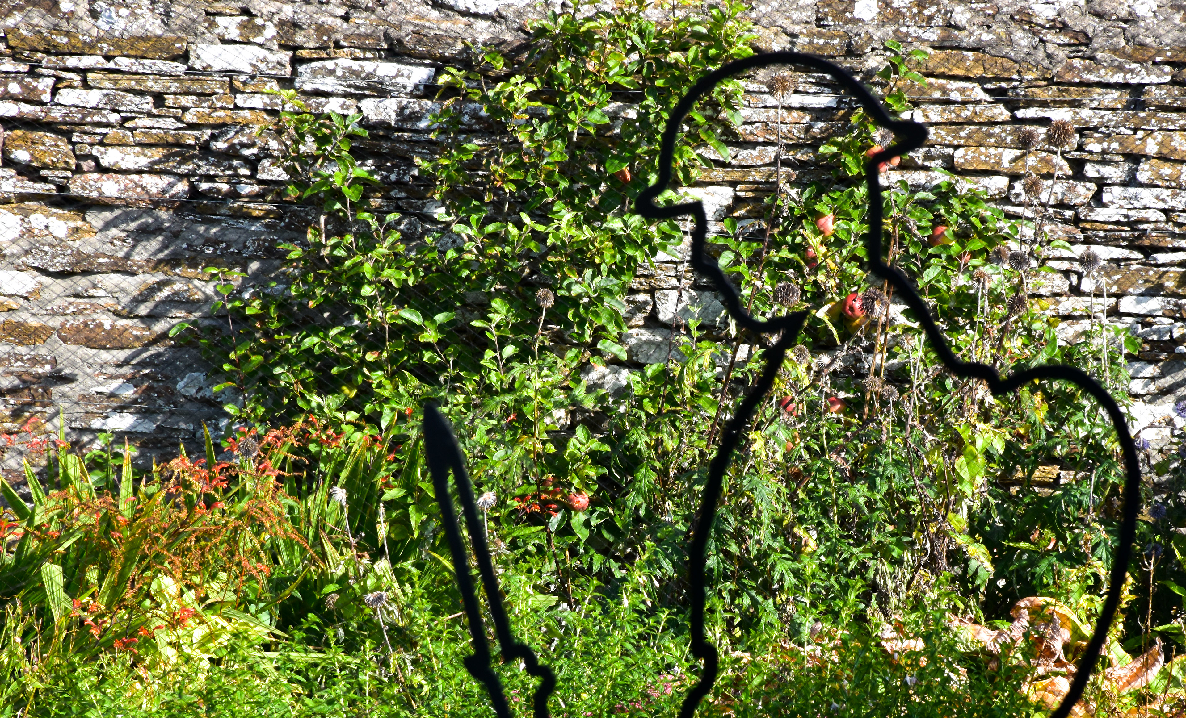 The Castle of Mey Garden - First World War remembrance