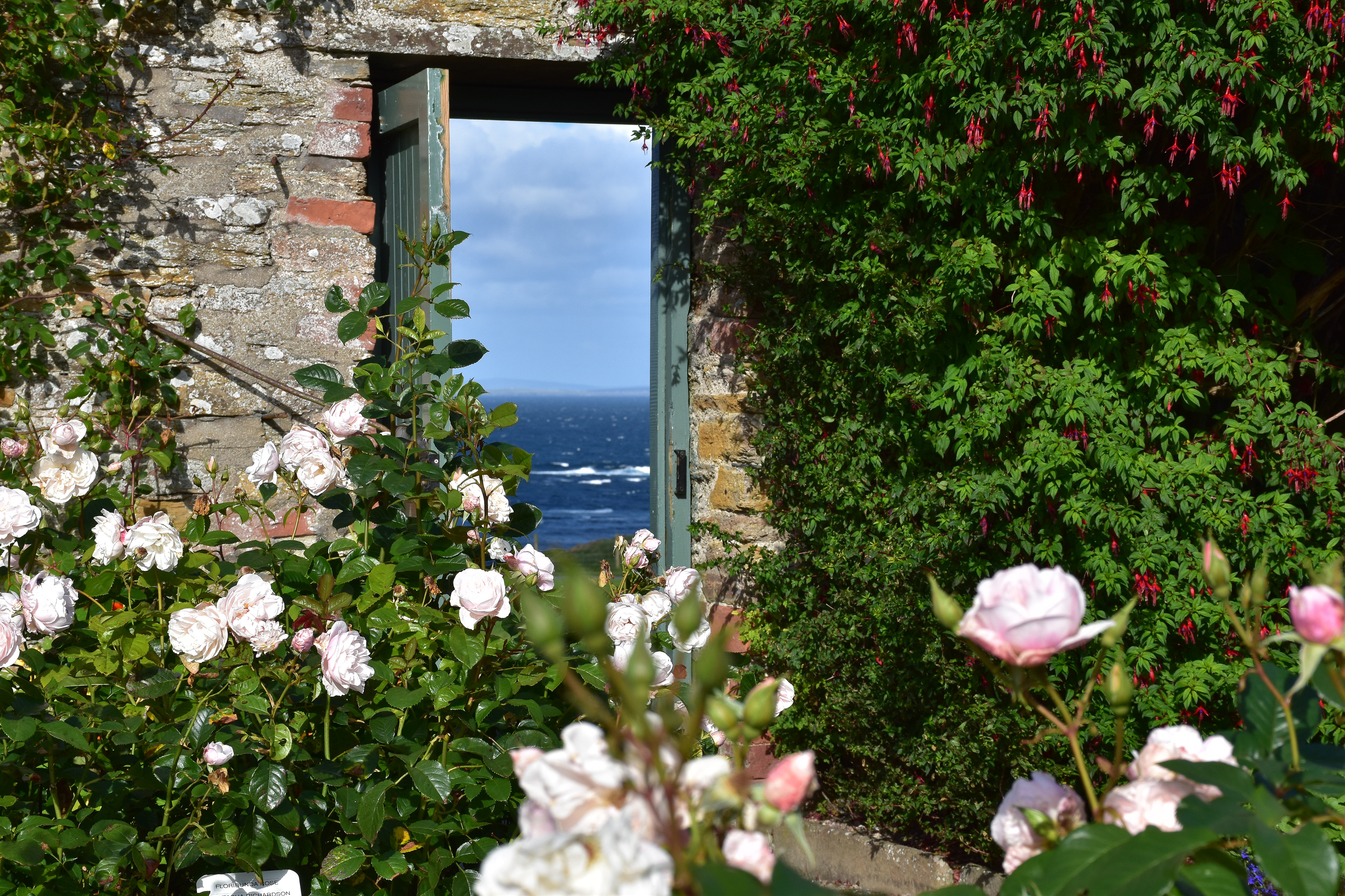 The Castle of Mey Gardens