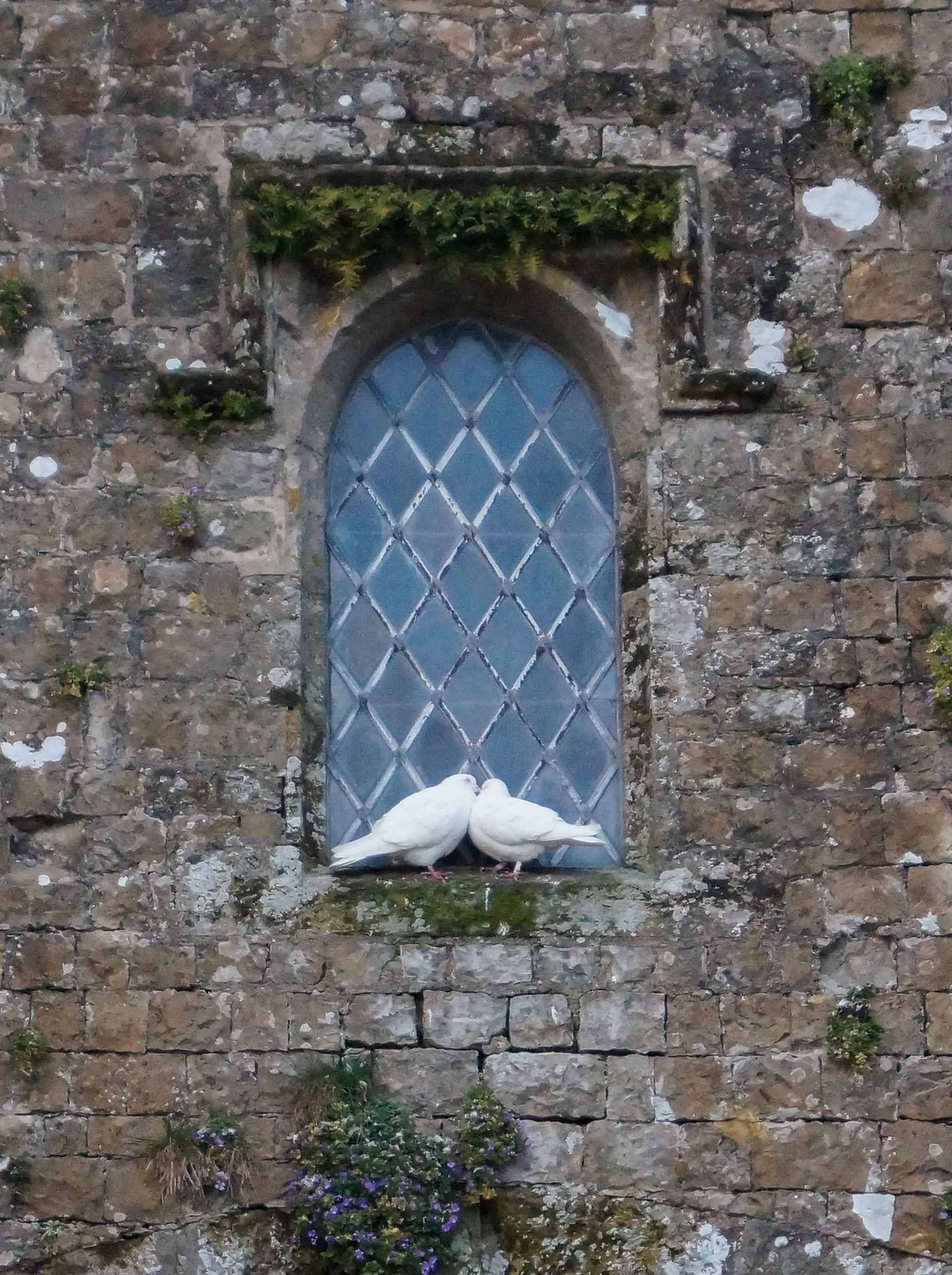 Amberley Castle