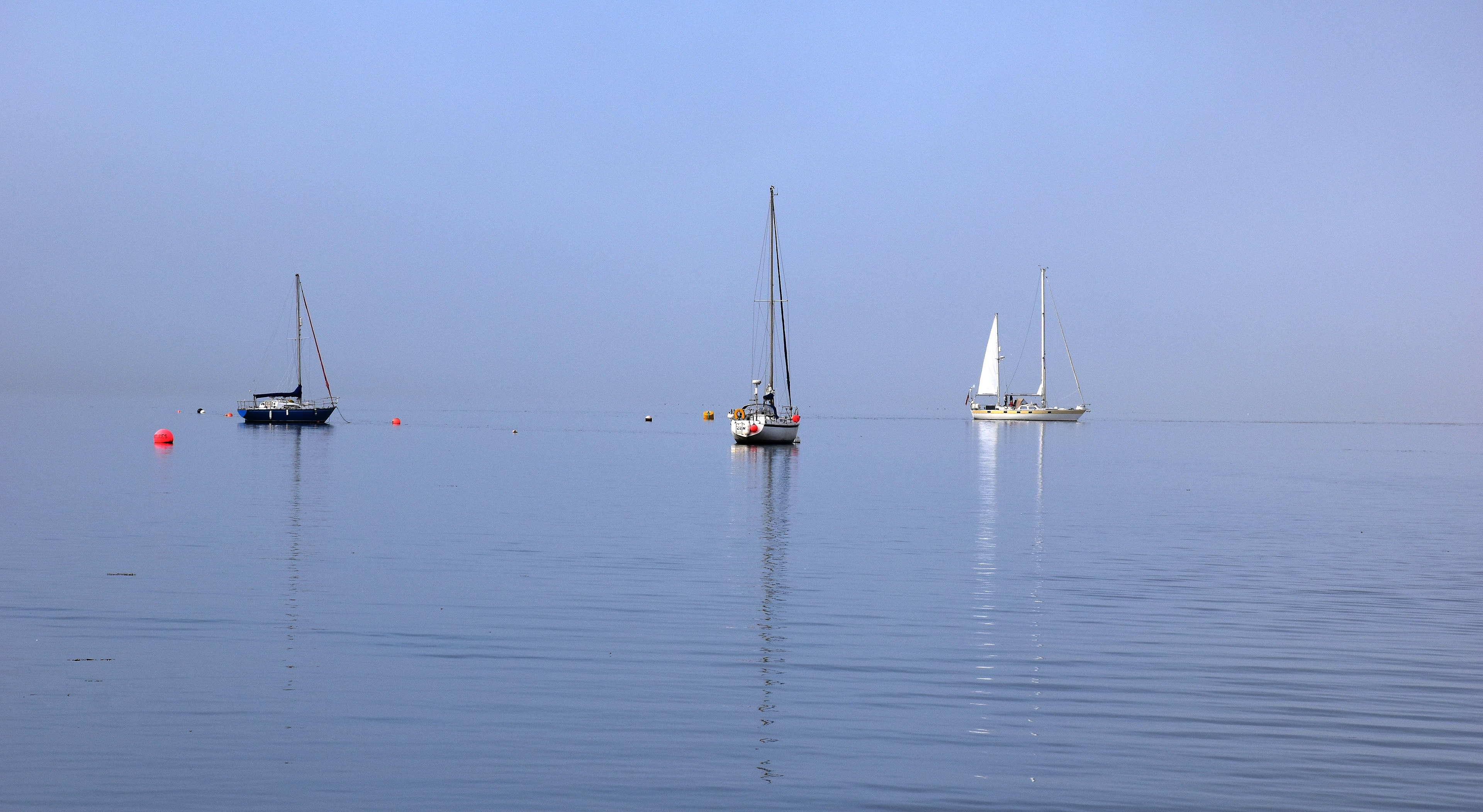 Yachts on Cromarty Firth