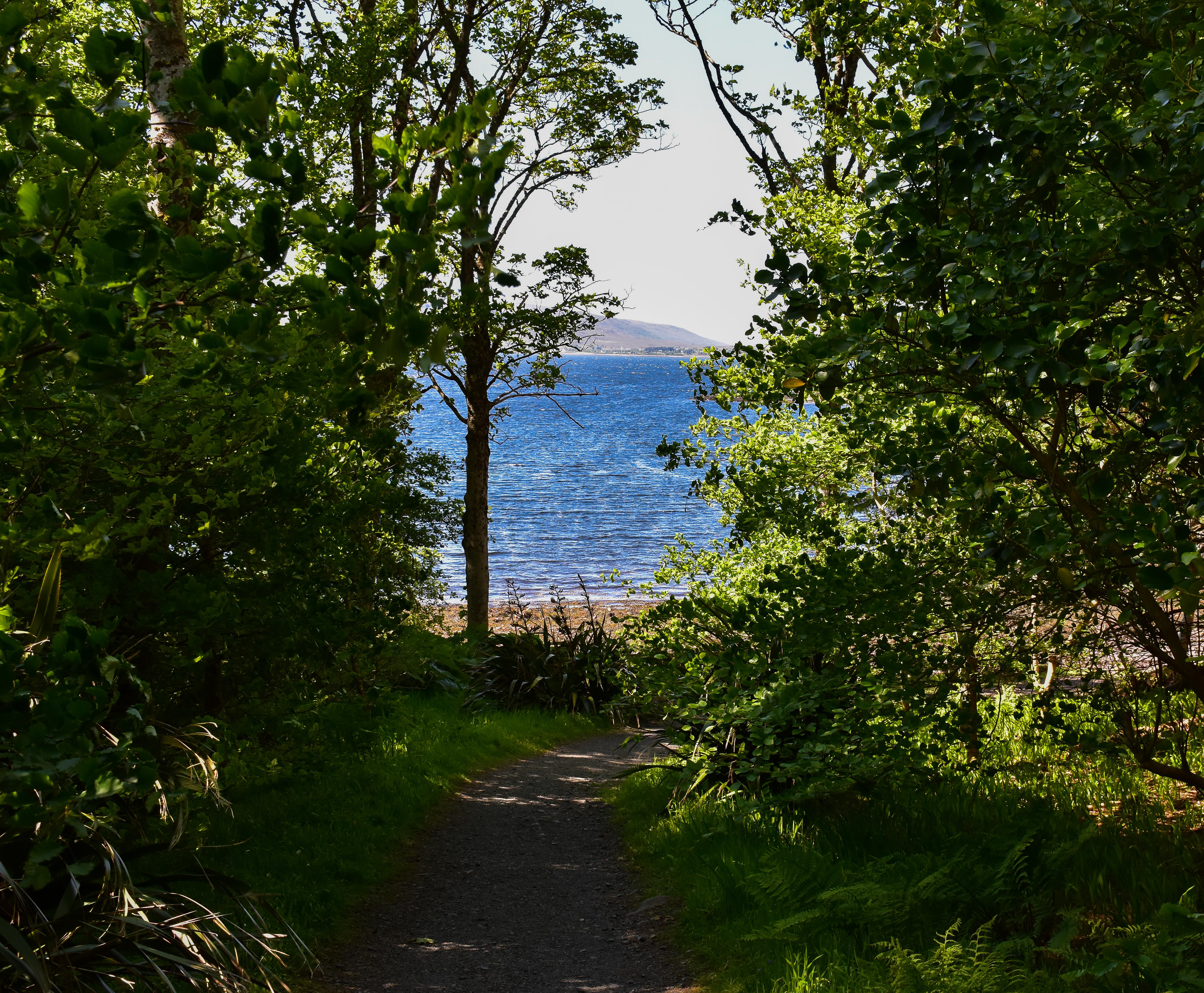 Inverewe Garden and Loch Ewe