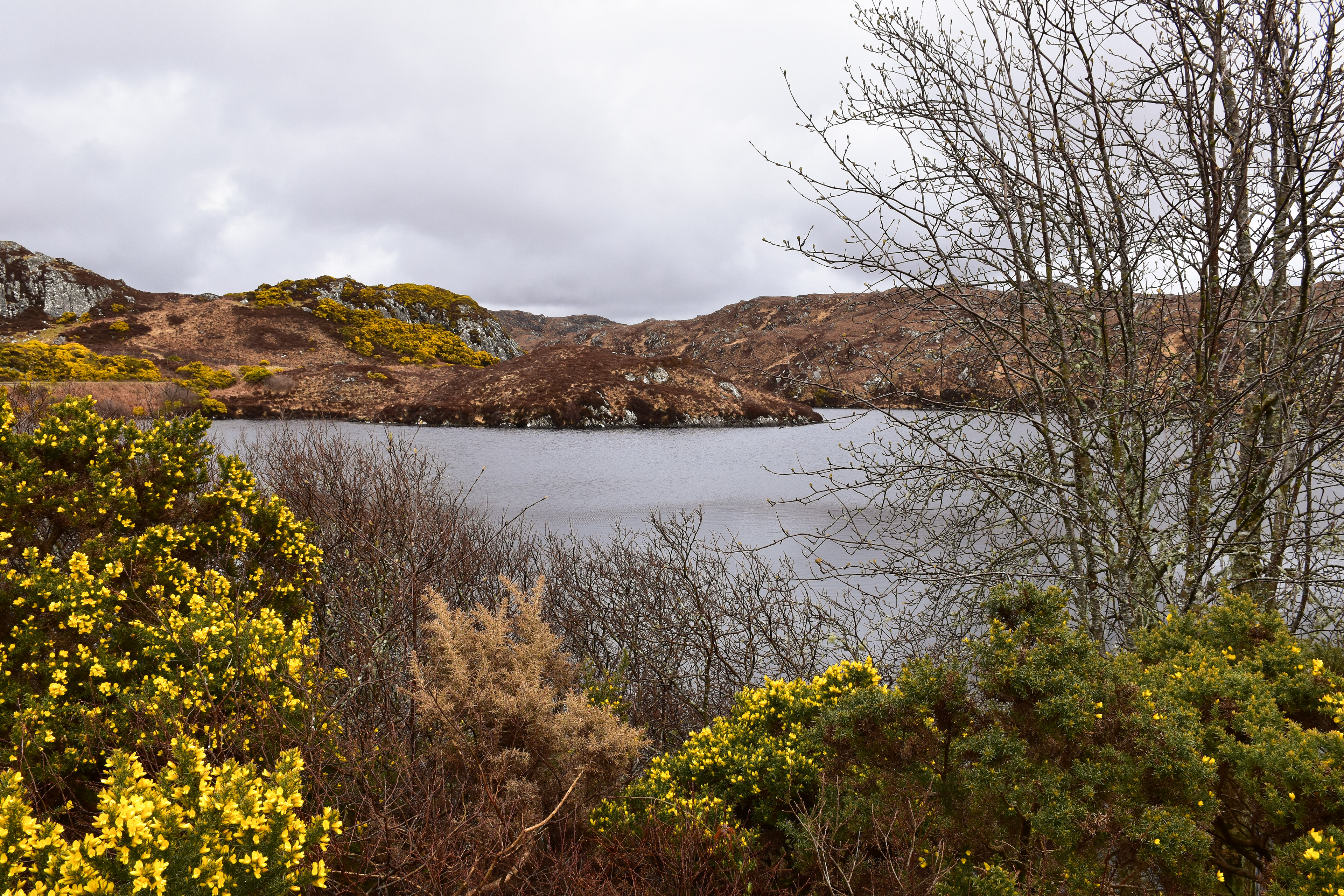 Near Scourie