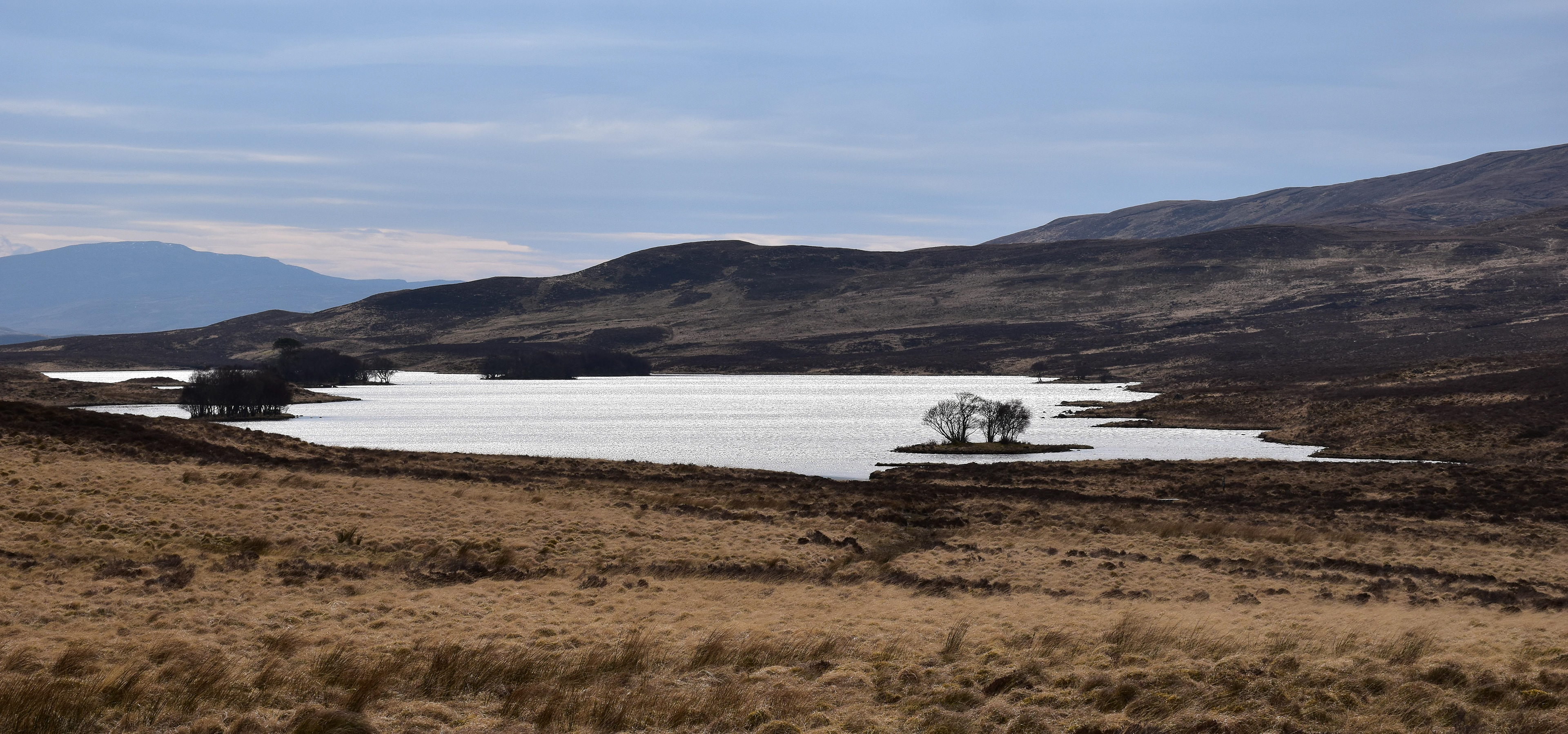 Assynt