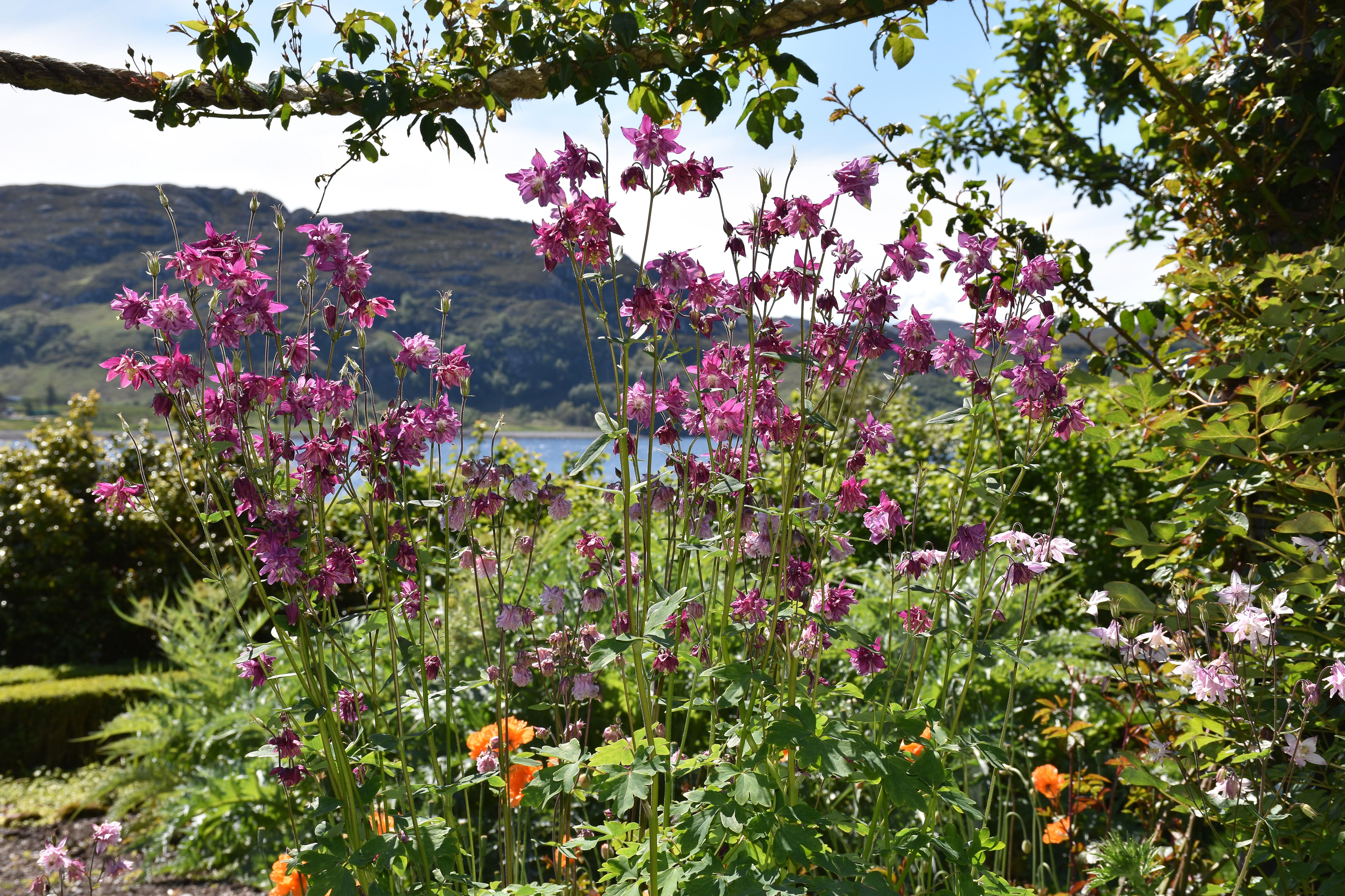Inverewe Garden