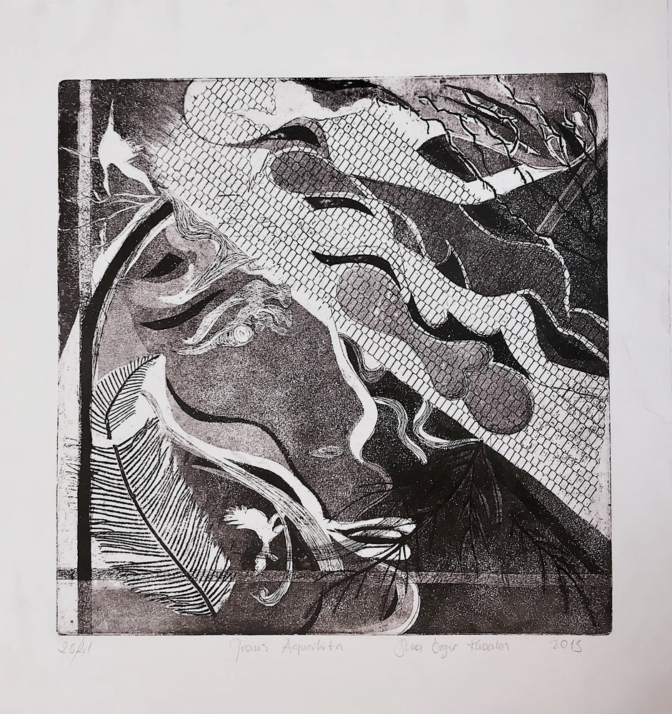 Suna Özgür Karaalan, 60x60 cm Gravür